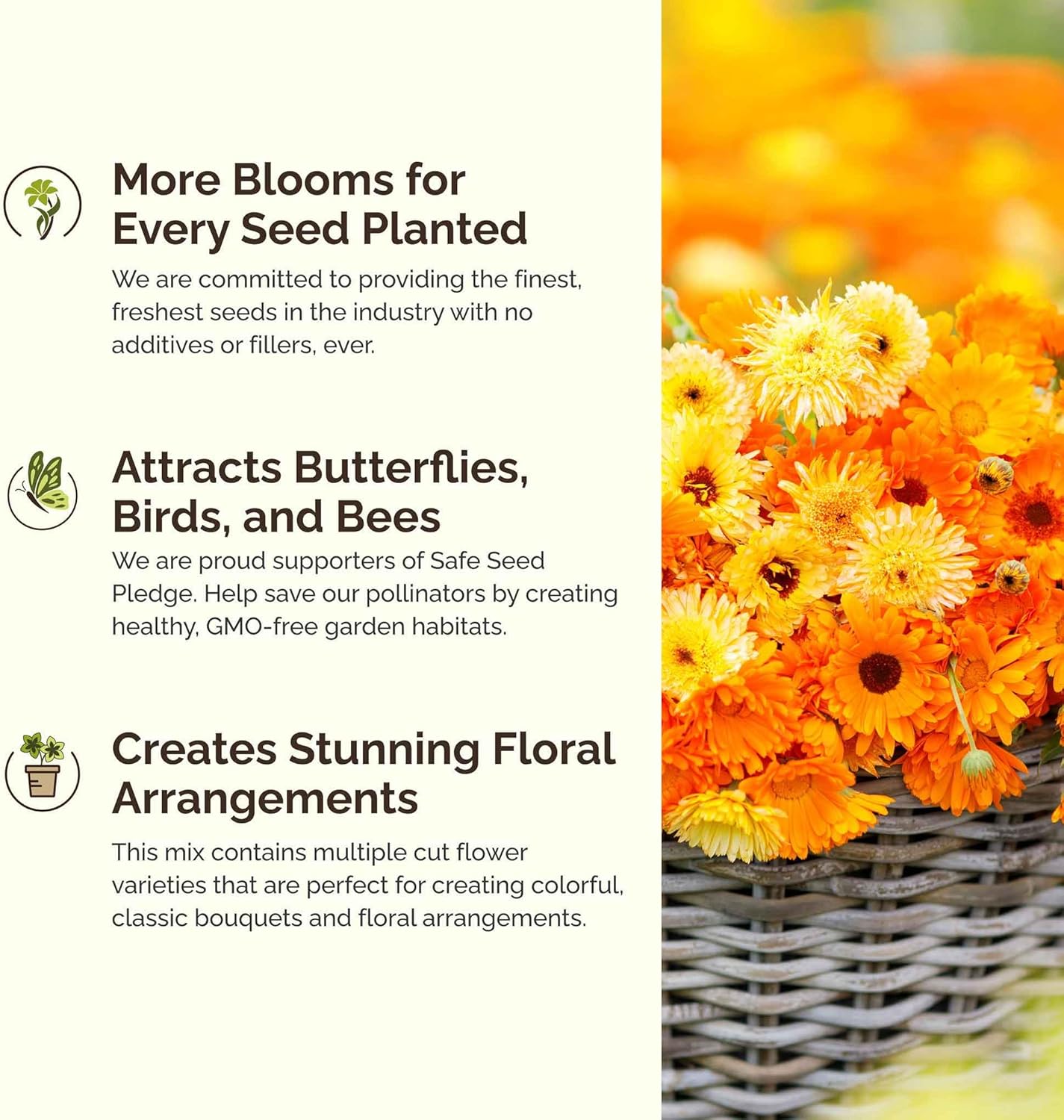 Eden Brothers Shorty Low Grow Wildflower Mixed Seeds for Planting, 1/4 lb, 120,000+ Seeds with Calendula, Cornflower | Attracts Pollinators, Plant in Spring or Fall, Zones 3, 4, 5, 6, 7, 8, 9, 10