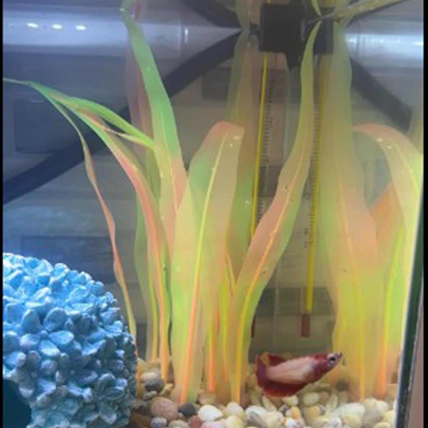 2Pcs Soft Silicone Aquarium Plants Glowing Kelp Fish Tank Plants Decor Artificial Aquarium Plant Decoration Simulation Artificial Water Grass for Fish Tank,Orange,7inch