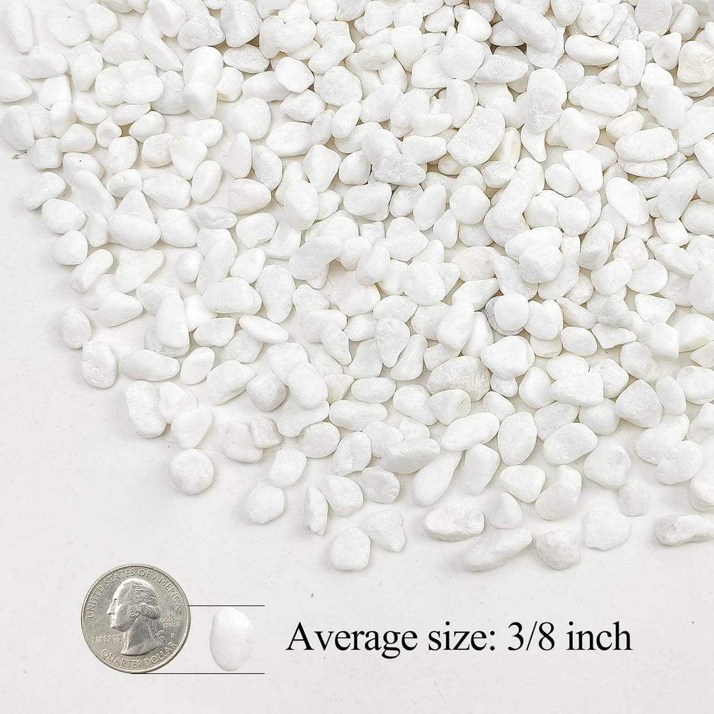 20lbs White Pebbles for Landscaping, 3/8inch Small Rocks for Gardening Succulent Cactus Planters, Natural Polished Pebbles, River Rocks for Plants, Vases