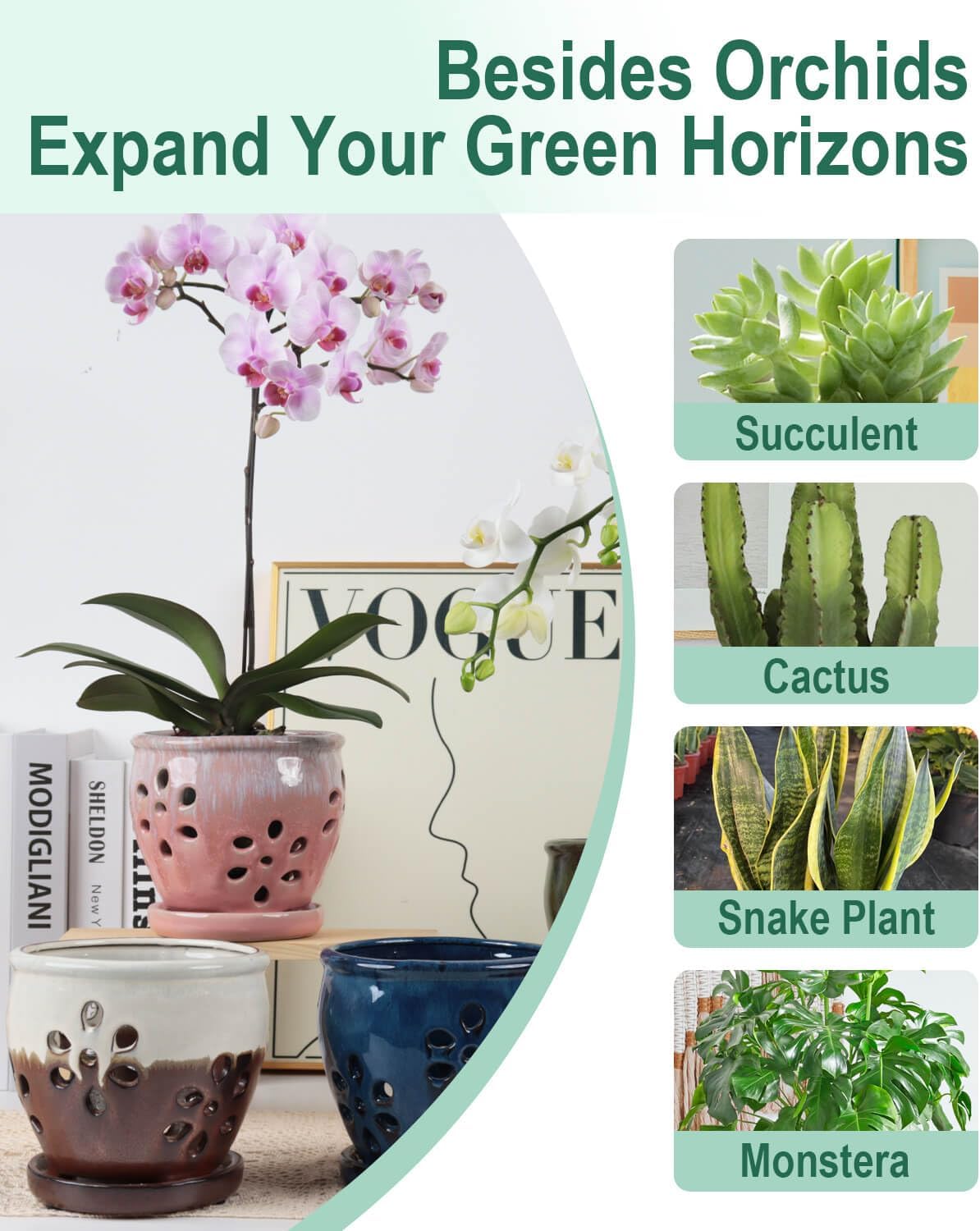 vensovo 5 Inch Ceramic Orchid Pots with Holes and Saucers - 1 Pcs Small Succulent Pot for Repotting, Garden Flowerpots for Plants Indoor and Outdoor Promotes Air Circulation, Pink