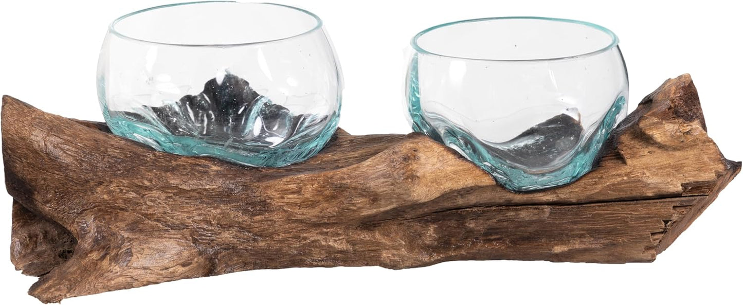 Cape Craftsmen Set of 2 Terrariums | Hand-Blown Blue Tinted Bubble Glass On Natural Teak Driftwood Terrarium | Home Décor Indoor Planter with Stand | Pot for Succulent and Plants