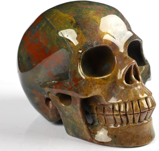 Skullis 5.0” Indian Agate Crystal Skull, Hand Carved Gemstone Fine Art Sculpture, Reiki Healing Stone Statue.361 Z8