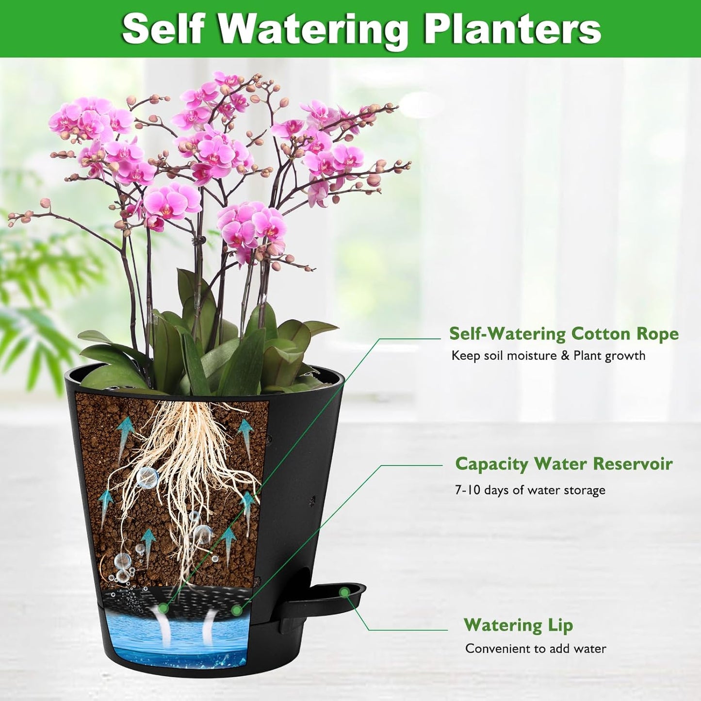 Orchid Pots with Holes, 6 Inch Self Watering Orchid Pot 2 Pack Plastic Plant Pots for Orchid, Flower (Black)