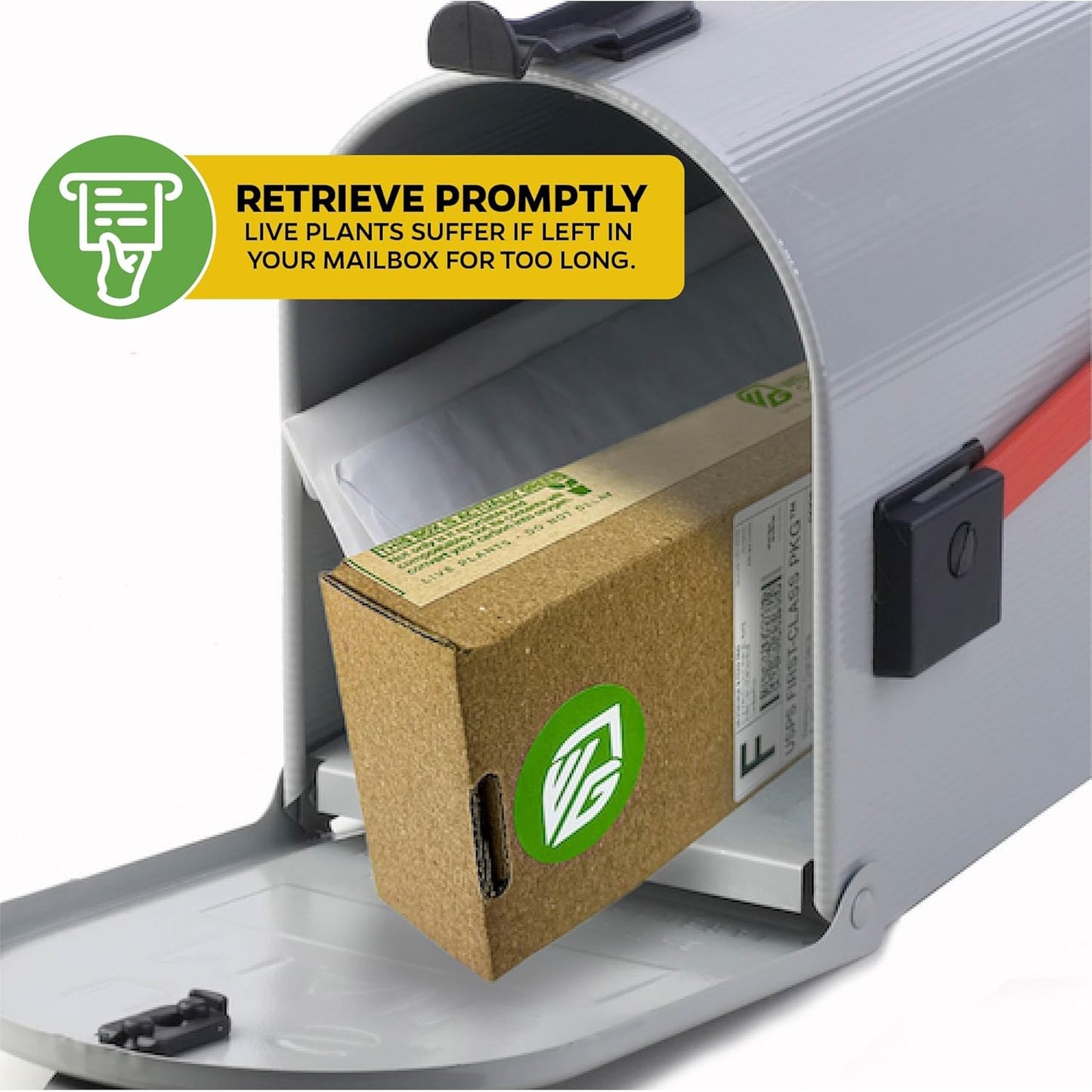 Purple Possum Passion Fruit Live Vine Starter Plant - Passiflora edulis by Wellspring Gardens - Climbing Vine with Aromatic Fruit & Stunning Flowers - Ideal for Outdoor Landscaping & Garden Planting