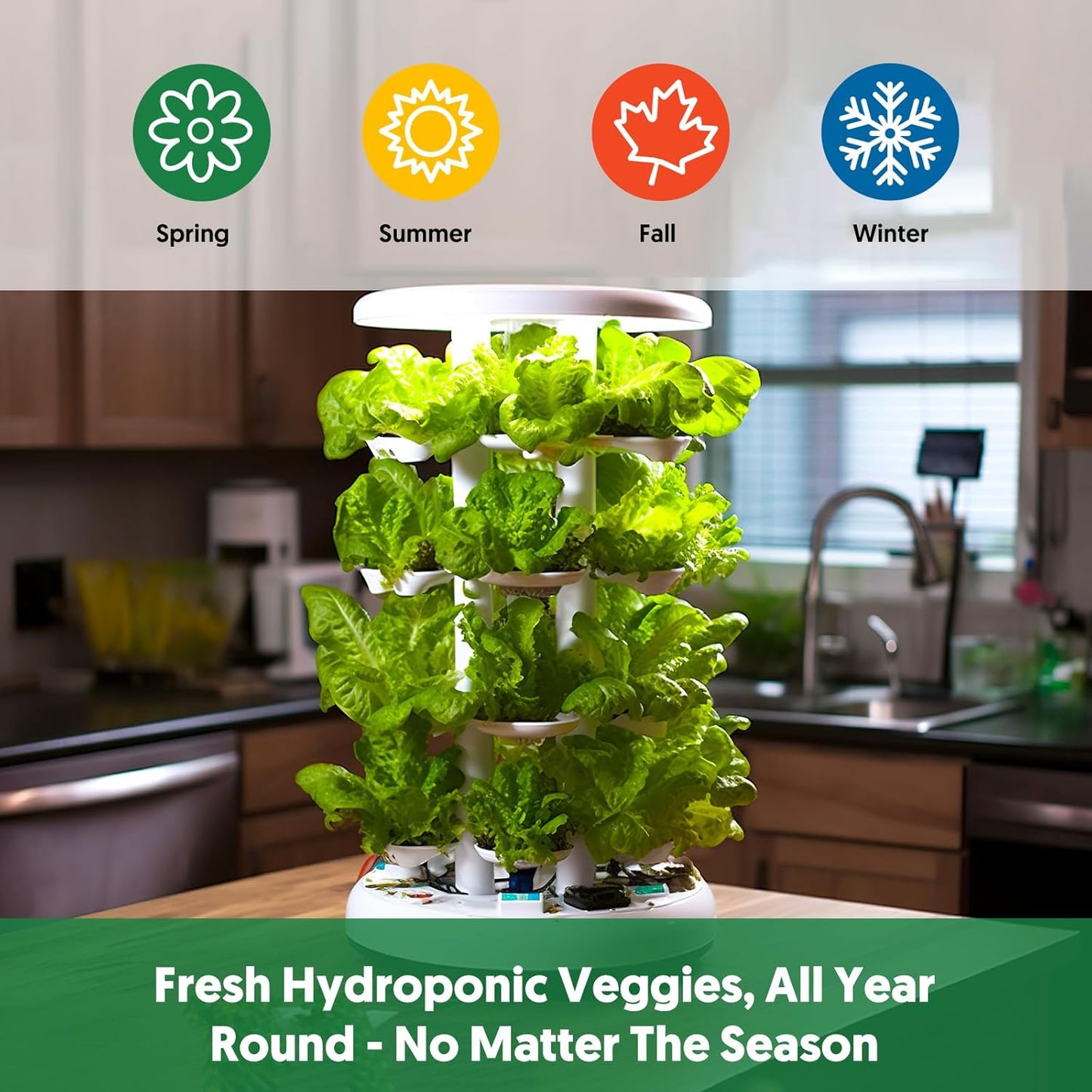 18 Varieties Herb & Vegetable Seeds for Hydroponic, 13000+ Seeds for Indoor Outdoor Garden Planting Home Veggie Herb, Heirloom Non-GMO Culinary Collection Gift Pack