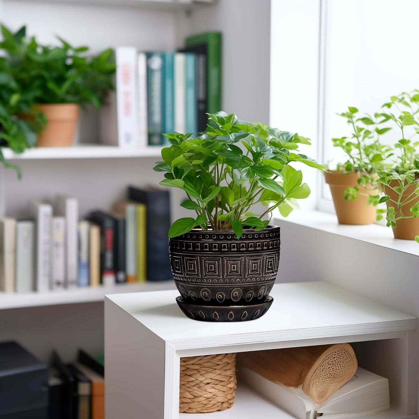 G EPGardening Ceramic Plant Pot - 5.5 Inch Ceramic Planter for Indoor Plants, Boho Round Indoor Flower Pot with Drainage Hole and Saucer, Plant Lover Gifts, Garden Home Room Decor, Black