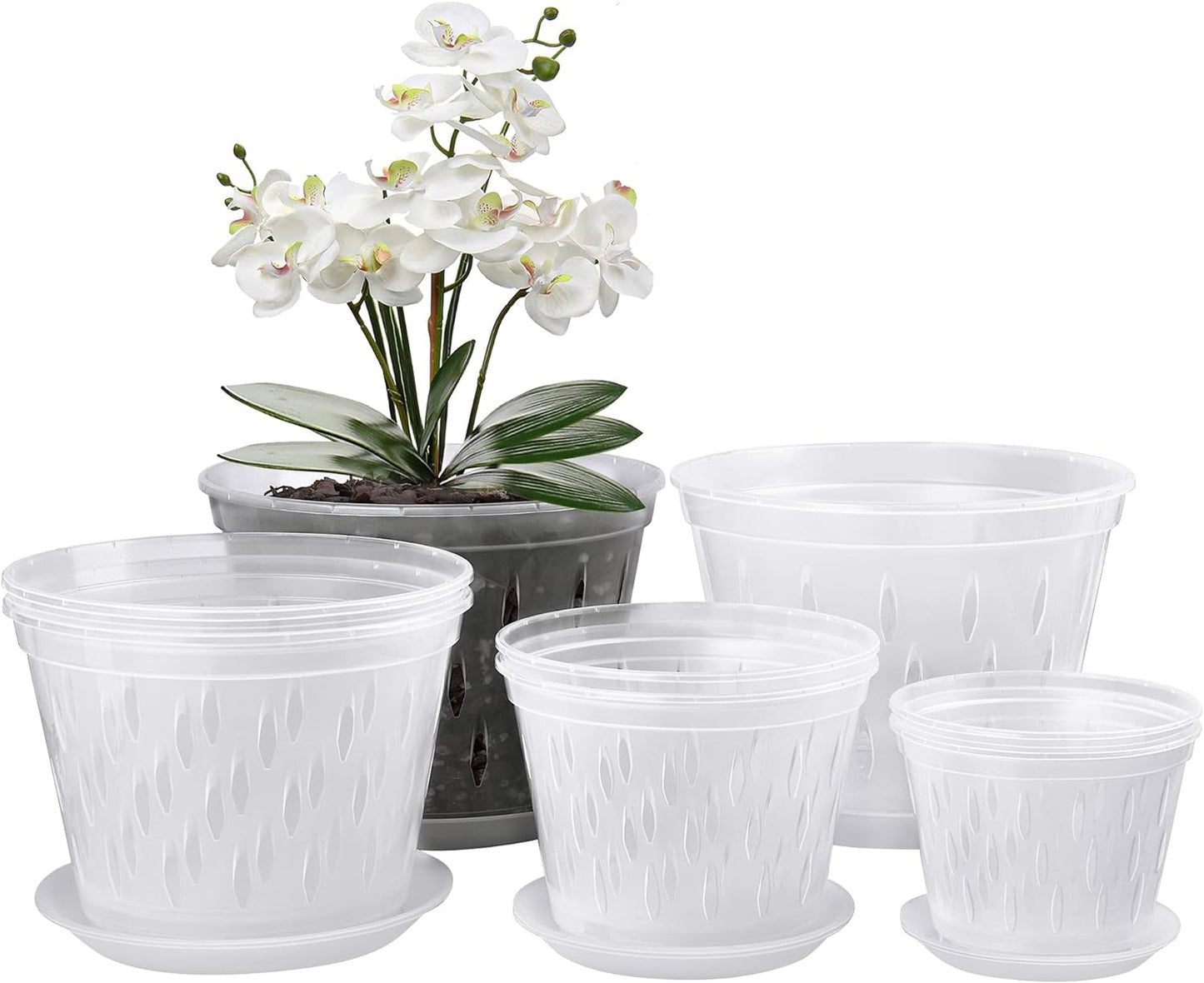 Orchid Plants- 2 Each of 4, 5, 6 and 7 inch- 8 Sets with Saucers, Orchid Pots with Holes and Clear Plastic Orchid Pots for Repotting
