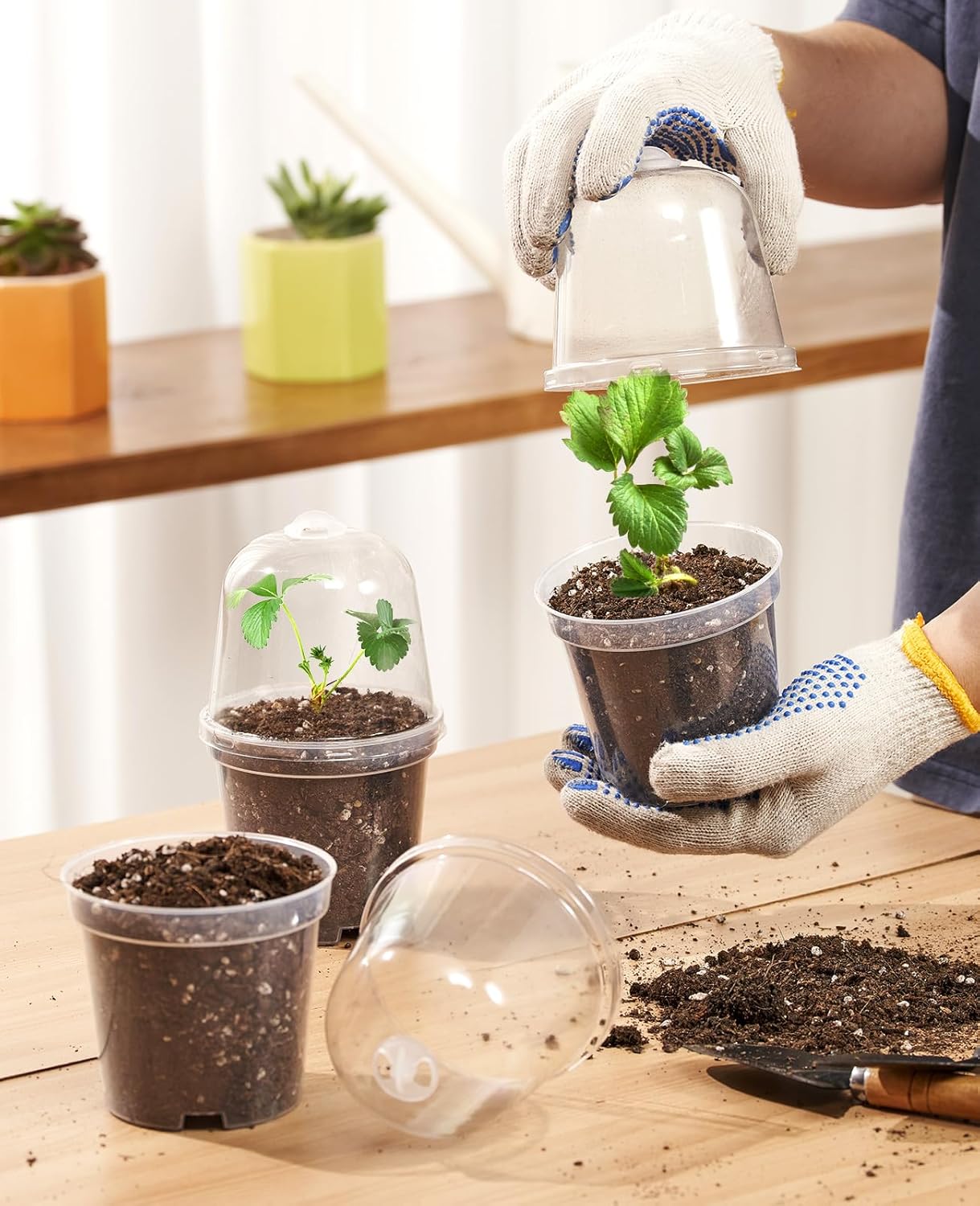 homenote Clear Nursery Pots for Plants,5 Inch Plant Pot for Planting with Humidity Domes Plastic Seedling with Drainage Holes Seed Starter Flower High Transparency (15 Pack)