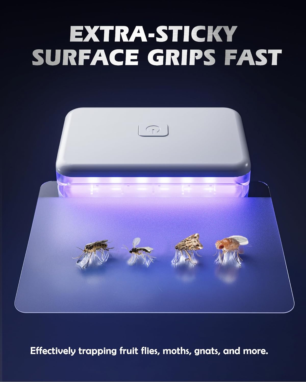 Fruit Fly Traps for Indoors (1 Device+10 Refills) Plug in Fly Trap for Gnats, Fruit Flies, Flying Insects Sleek Design Indoor Safe