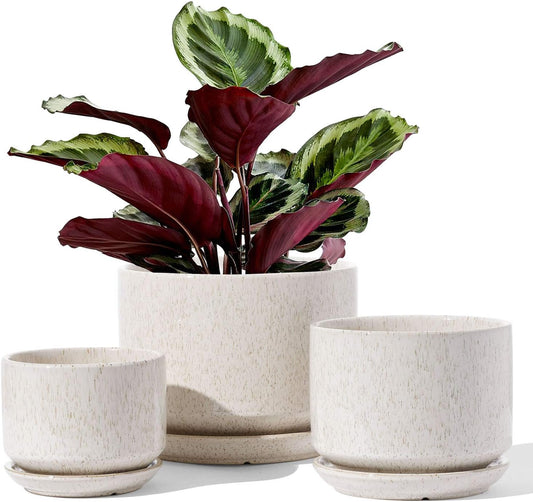 LE TAUCI Ceramic Plant Pots, 4.3+5.3+6.8 inch, Set of 3, Planters with Drainage Hole and Saucer, Indoor Flower Pot with Hole Mesh Pad, Gifts for Mom, Reactive Glaze Beige