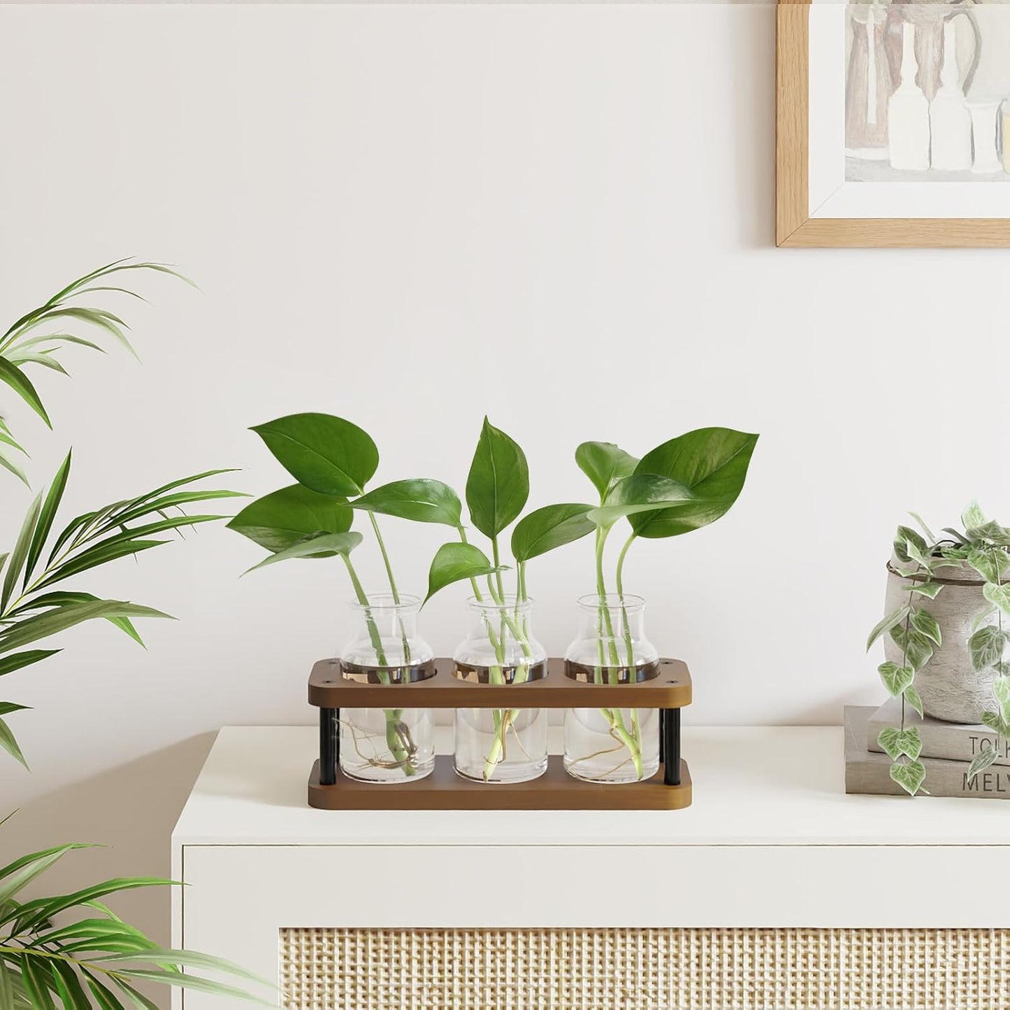 THYGIFTREE Plant Propagation Station with Wooden Stand, Propagation Vases Glass Planters for Indoor Plants Hydroponic Propagating Jars Home Office Decor, Brown