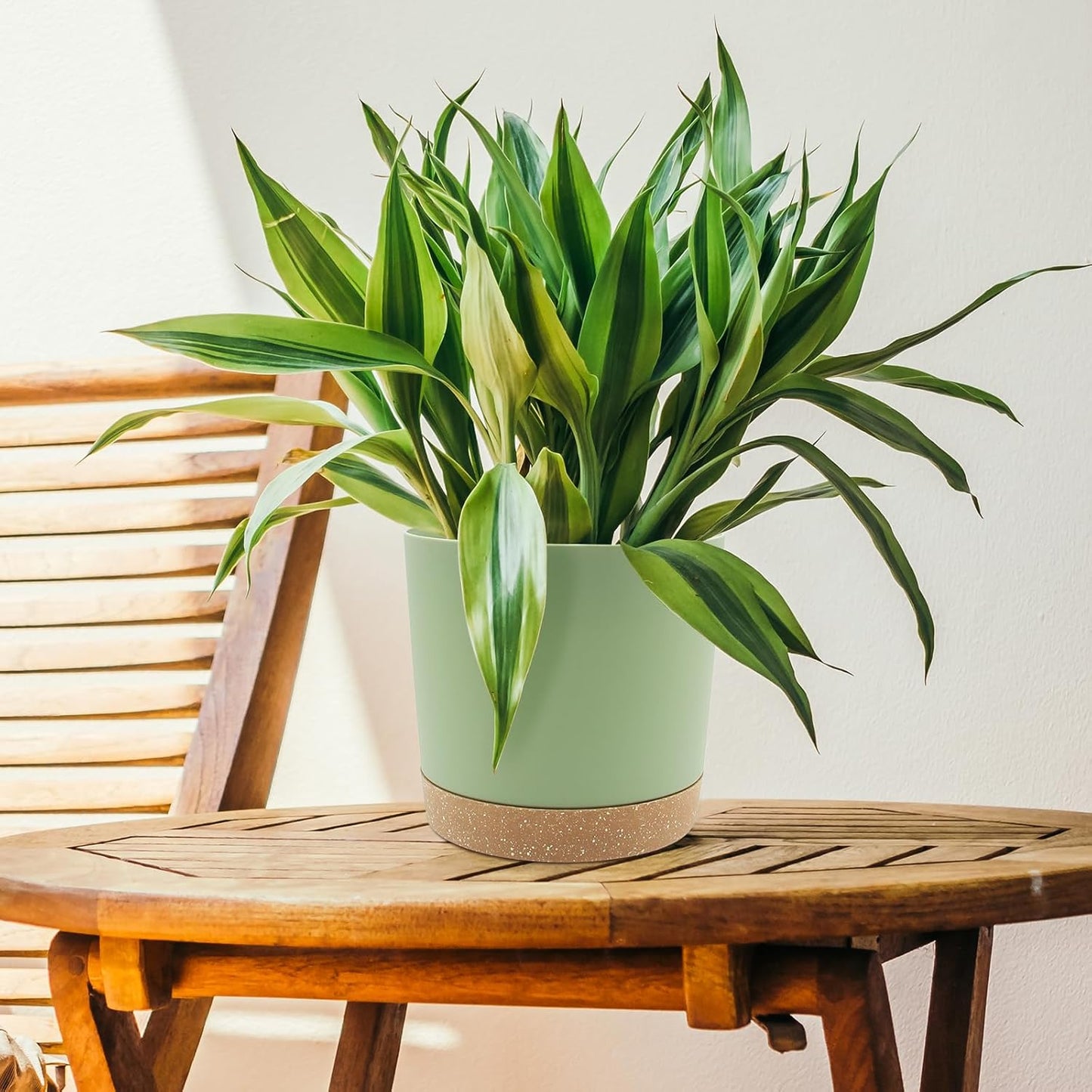 QCQHDU 6.5 inch Plant Pot, 2 Pack Planters for Indoor Plants with Drainage Holes & Saucer, Outdoor Flower Pots Home Garden Modern Decor