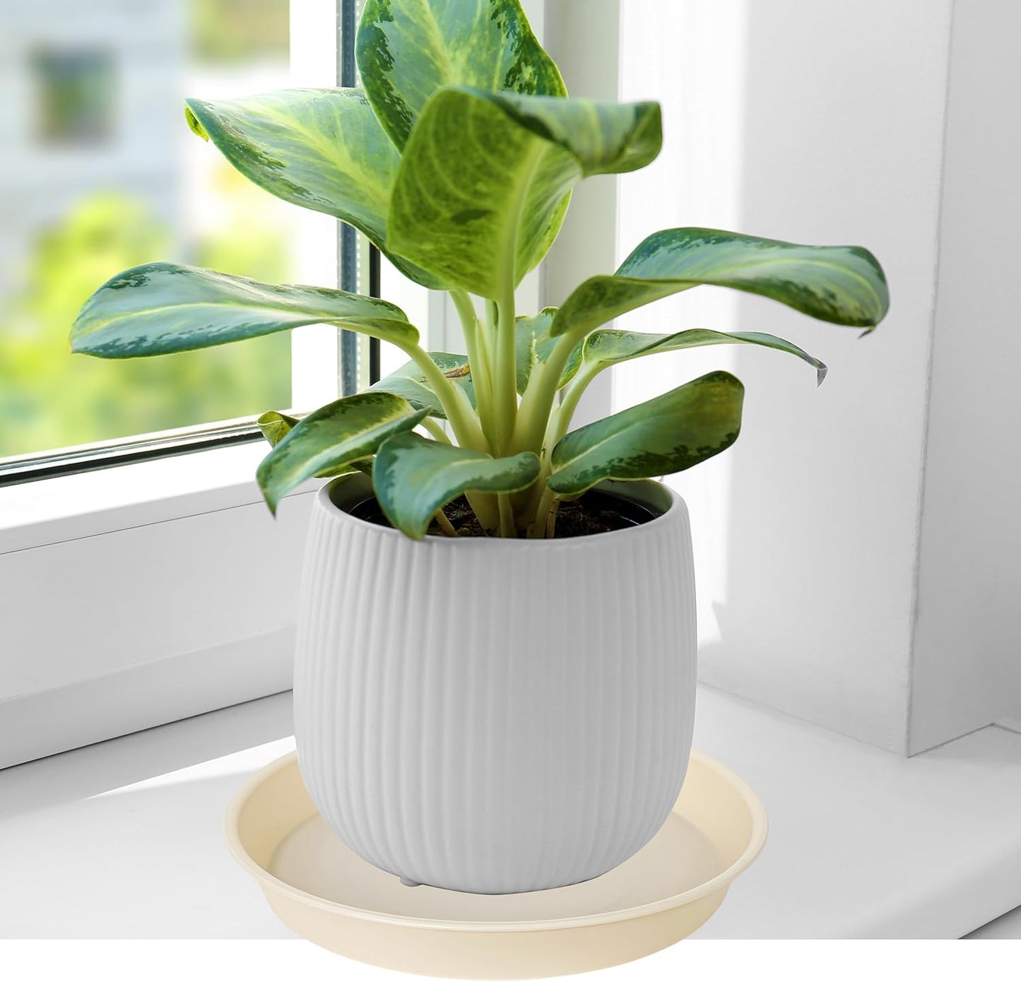 2 Pack of Bird Bath Bowl 12", 1.6" Depth, 10 12 inch Birdbath Bowls Dish Only for The Garden, Large Plant Saucer (12", Beige)