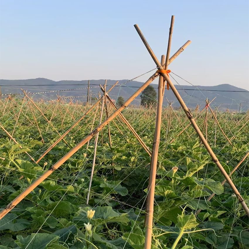 bamboo stakes,6Feet,50Pcs,Plant Bamboo Post,GUANGYE,Bamboo Garden Stakes