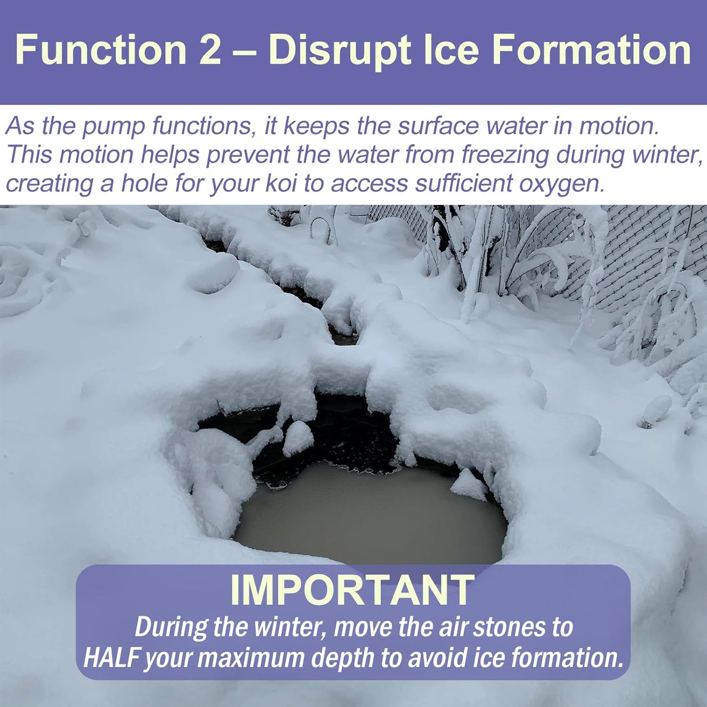 AquaMiracle Koi Pond Aerator Pond Air Pump with Self-Sinking Airline Rubber Air Diffuser, Air Flow Control Pond Deicer All-in-One Pond Aeration Kit for Outdoor Pond 5,000-10,000 Gallons