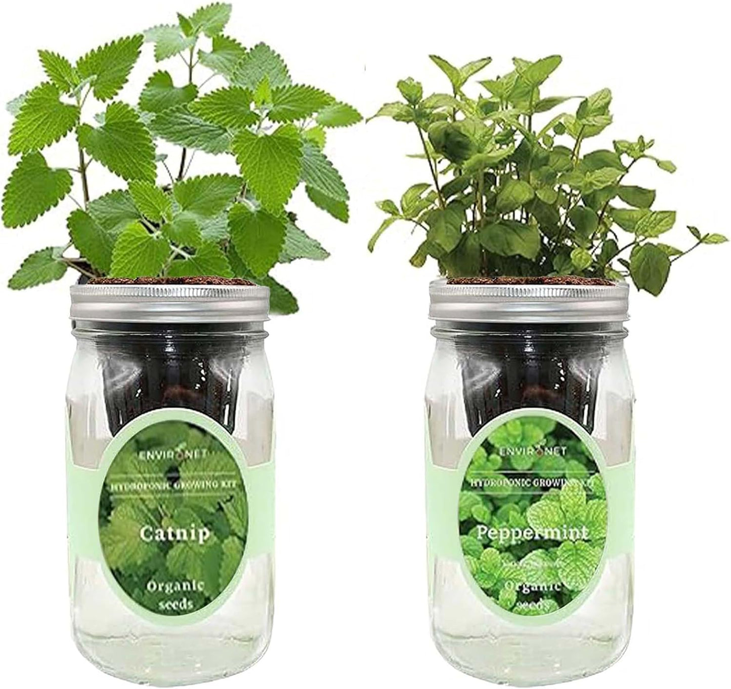 2-Pack Hydroponic Mason Jar Herb Garden Kit, Indoor Herb Garden Self-Watering Starter Kit (Catnip,Peppermint)
