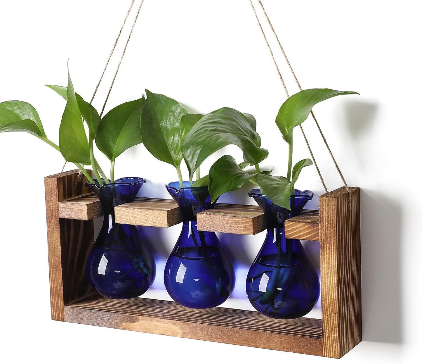 Plant Propagation Station Plant Terrarium Unique Birthday Gifts for Women Plant Lovers Home Office Decor Planter with Wooden Stand - 3 Bulb Glass Vase