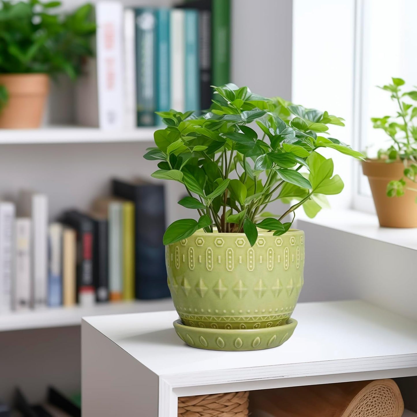 G EPGardening Ceramic Planter 5.5 Inch - Boho Plant Pot Indoor with Drainage Hole and Saucer, Round Flower Succulent Pot for Plants, Plant Lovers Gifts, Garden Office House Decor, Green