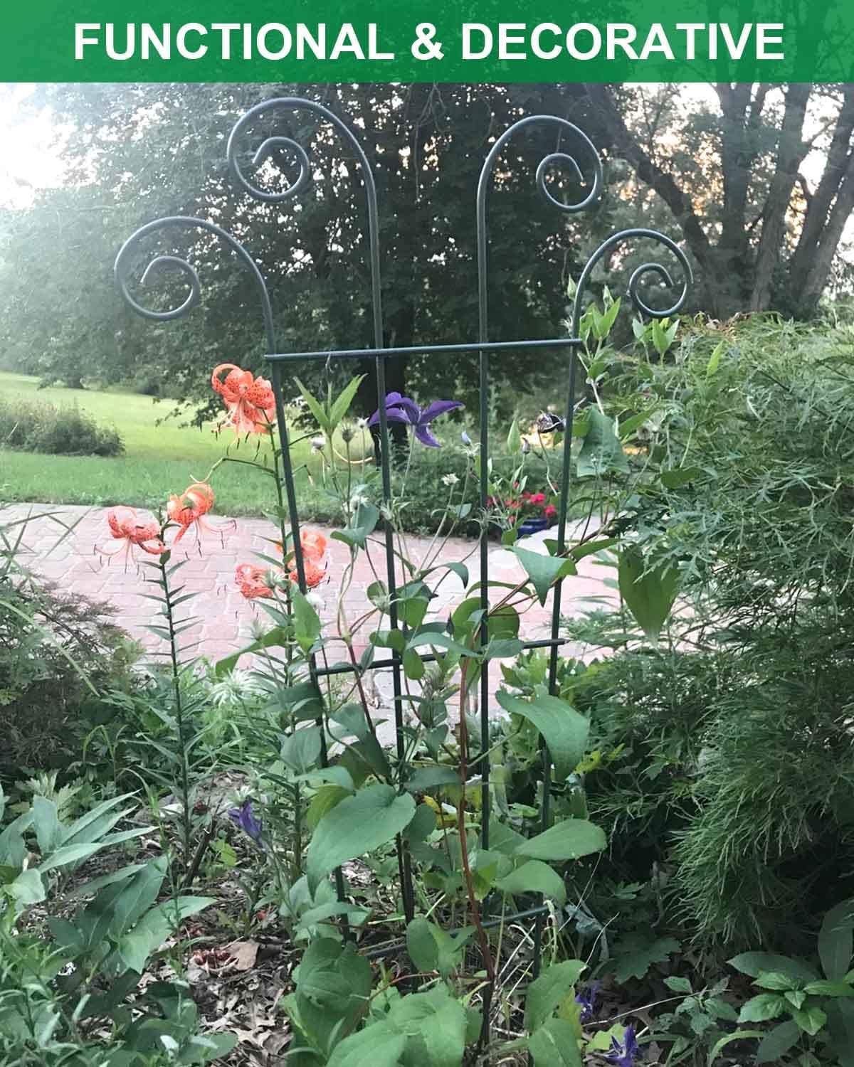 4 Pack 32'' Trellis for Potted Plants, Metal Garden Trellis for Climbing Plants Outdoor, Indoor Plant Trellis Black Coated Flower Pot Trellis for Climbing Plants Houseplants Vine Ivy