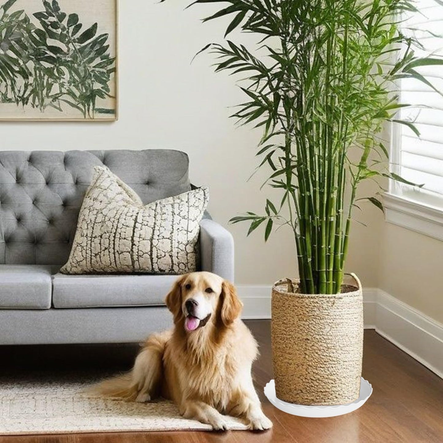 2 Pack of 14 inch Plant Saucer Plant Tray, Plastic Plant Saucer, Heavy Duty Plant Tray for Pots, Plant Saucers for Indoors Planter, Garden Water Plate Bowls for Gallon Grow Bags (White)