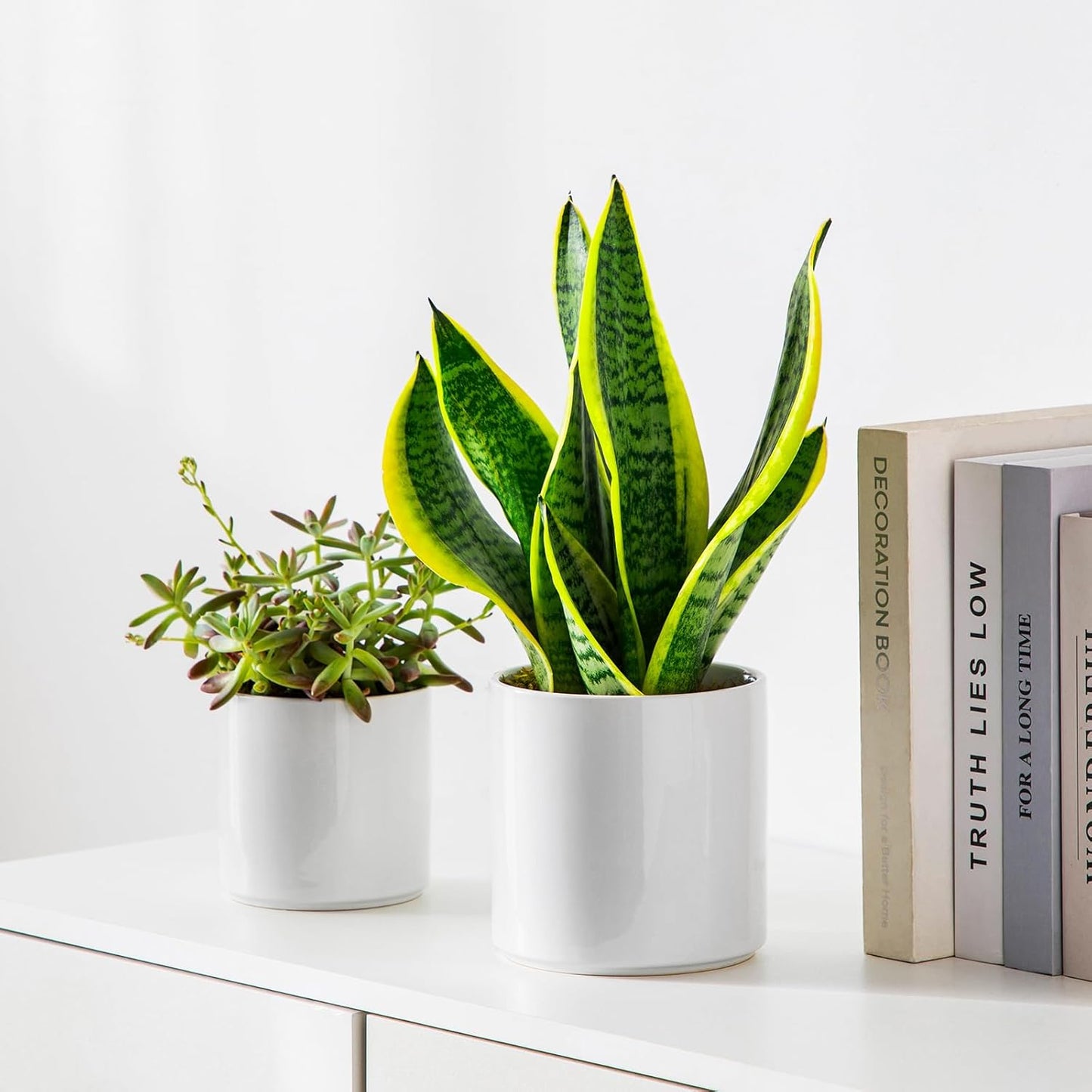 vancasso Ceramic Plant Pots, 6 Inch Planter Pot with Drainage Hole, Flower Pots for Indoor Outdoor Plants, White