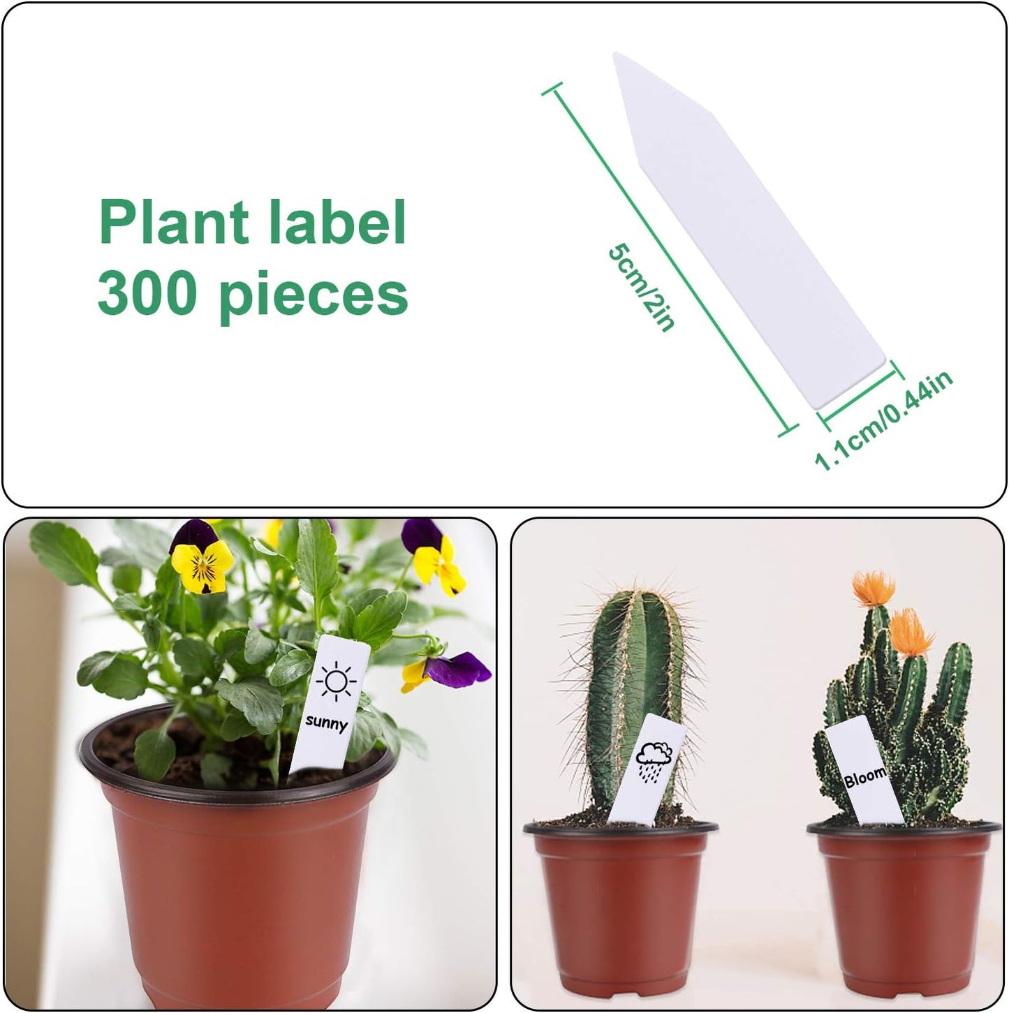 Augshy 250-Pack 4 Inch Plant Nursery Pots Seed Starting Pots Containers with 300 Labels for Indoor Outdoor Usage