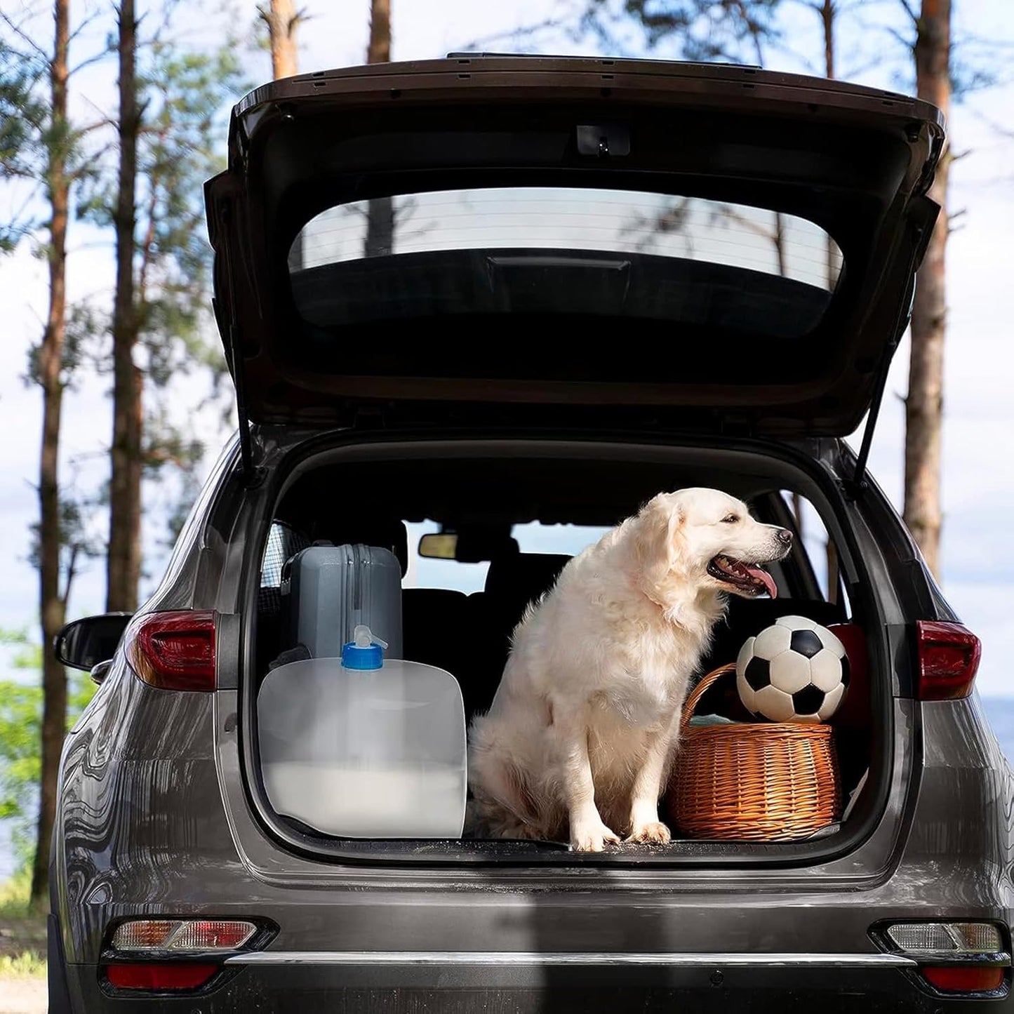 Collapsible Water Container with Spigot, 2×5.3 Gallon BPA Free Camping Water Storage Jug Carrier for Outdoors Hiking Backpack RV&Emergency, Survival Water Canteen-Portable Foldable Transparent