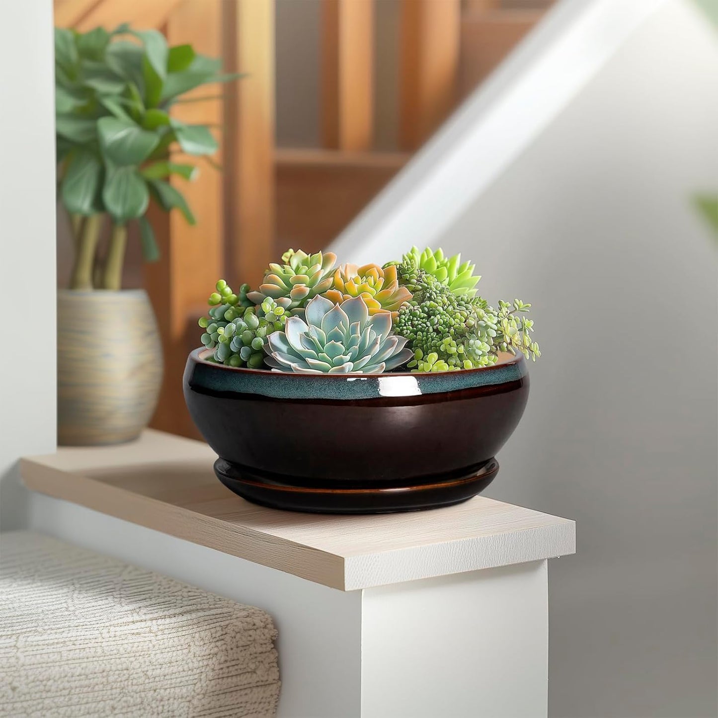 SQOWL Succulent Planters 8 Inch - Ceramic Bonsai Pots with Drainage Hole and Ceramic Saucer, Round Shallow Planter for Indoor Plant, Bowl Planter Outdoor, Desk Decor, Gift for Plant Lover, Blue-Brown