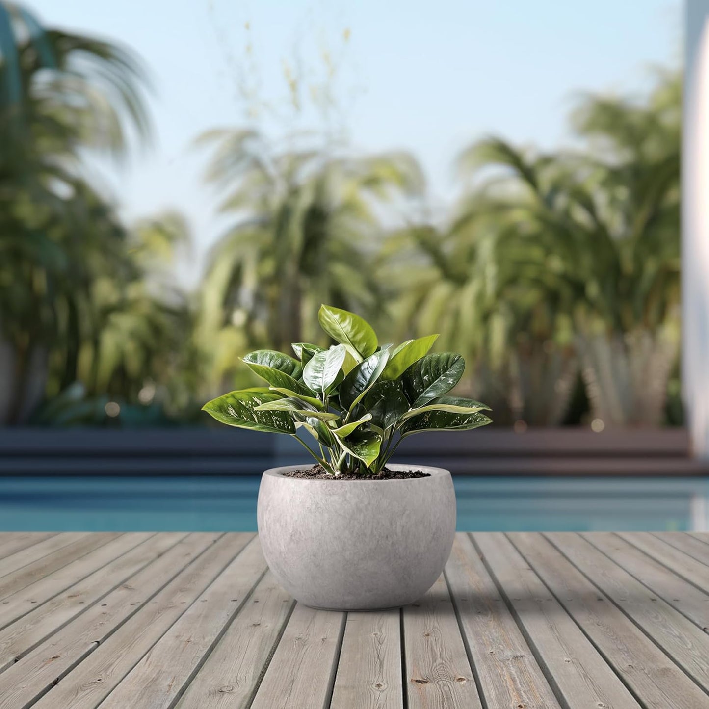 Kante 19.9" Dia Round Concrete Planter, Outdoor/Indoor Large Bowl Plant Pots with Drainage Hole and Rubber Plug for Garden Patio Balcony Home, Light Gray