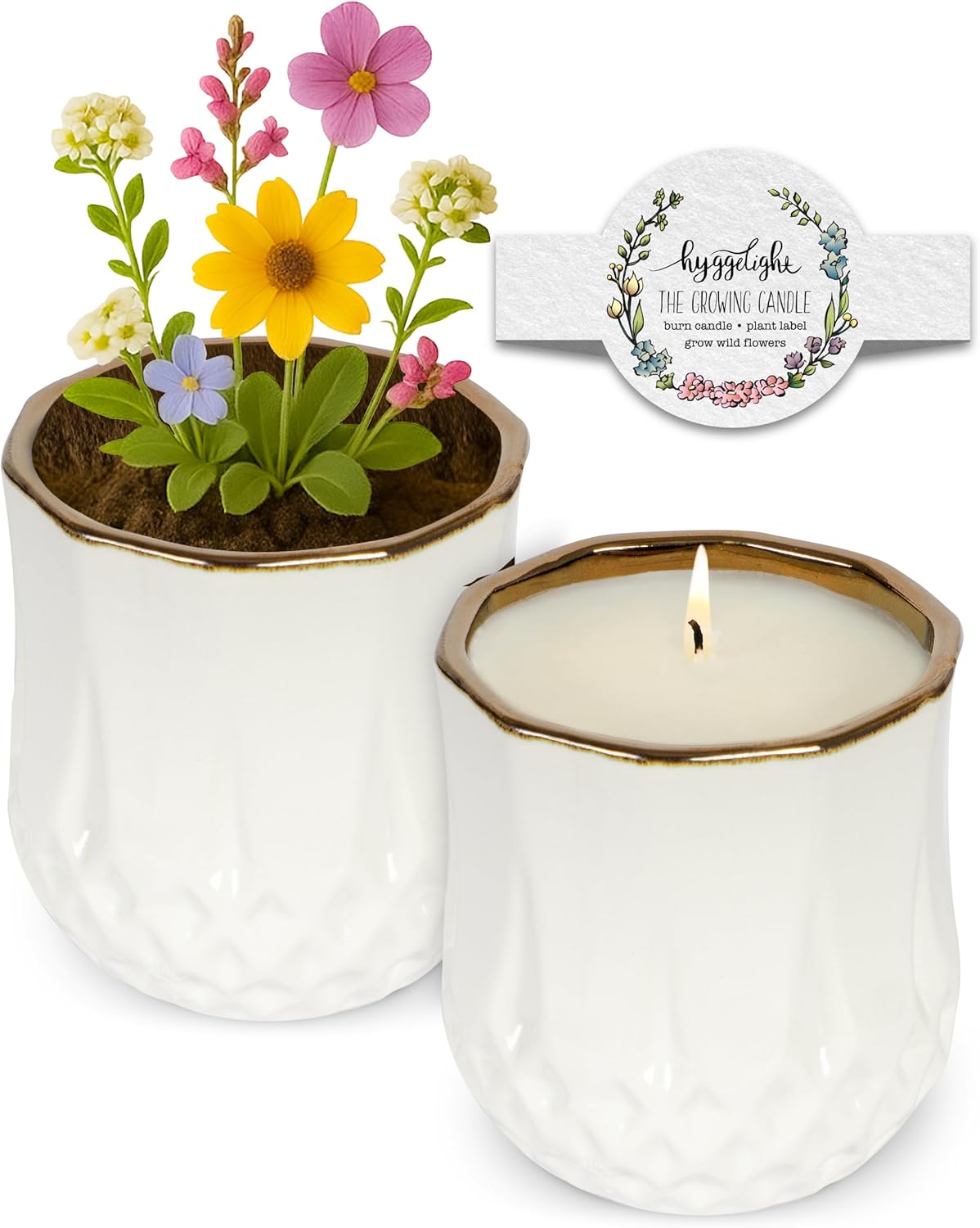 The Growing Candle, Lemongrass Scented, 9oz Ceramic Pot, Single Wick Aromatherapy Candles, 100% Soy for Women and Men, Astrid