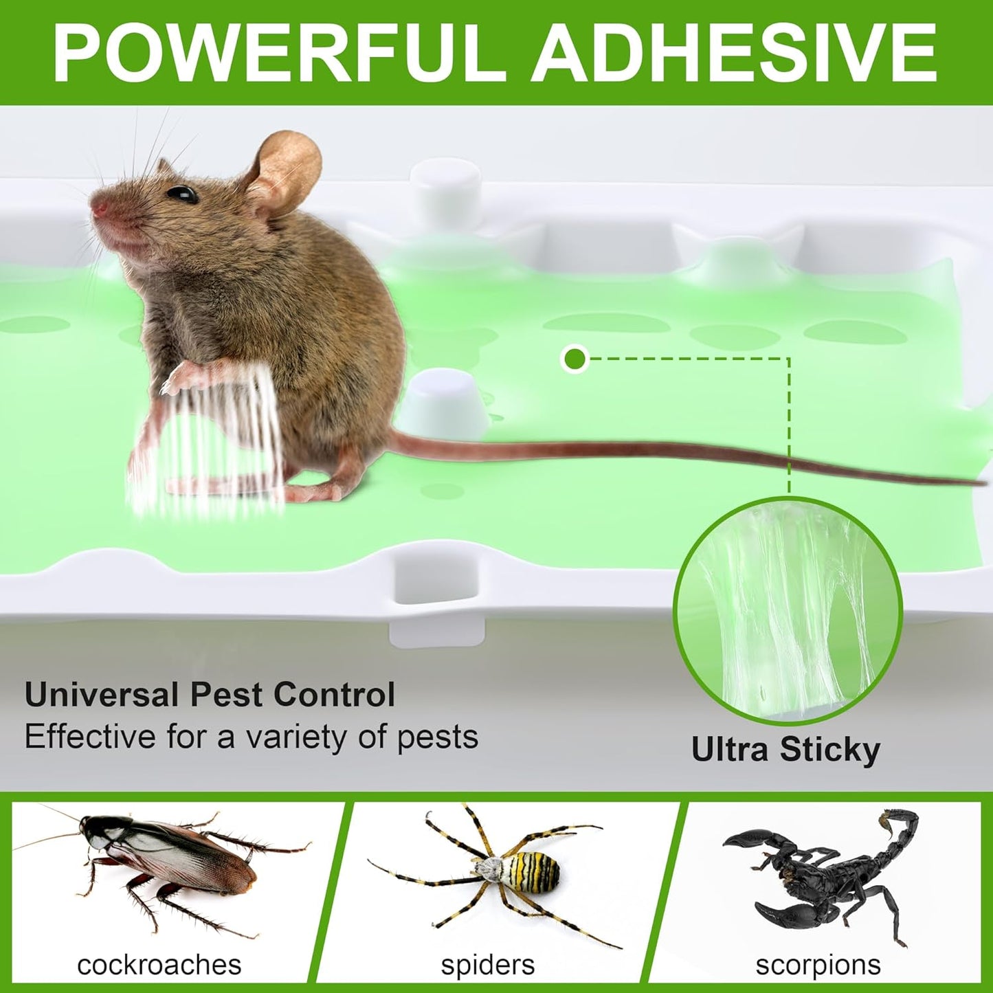 Qualirey 12 Pack Mouse Glue Trap, Super Sticky Traps Mouse Size for Mice and Rats, Pre-Scented, Non Toxic Mice Glue Boards, Rodent Sticky Pads Indoor for Home, Easy to Use, Pet Safe Pest Control