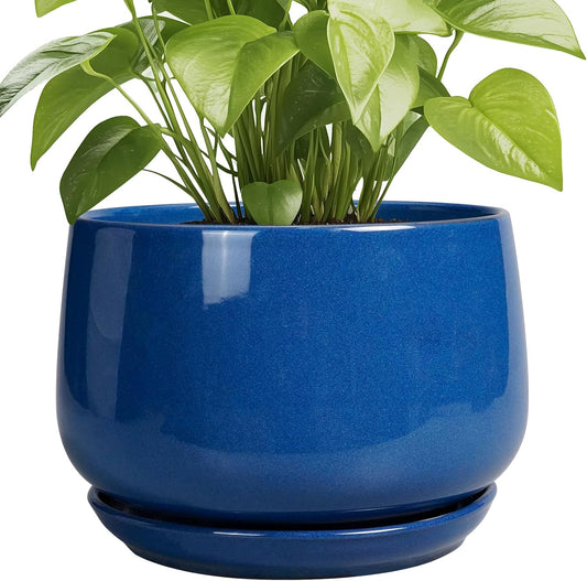 G EPGardening Ceramic Pots for Plants, 9 Inch Modern Round Planter with Drainage and Tray Indoor Outdoor for Flower, Patio Decor, Housewarming Gifts, Blue