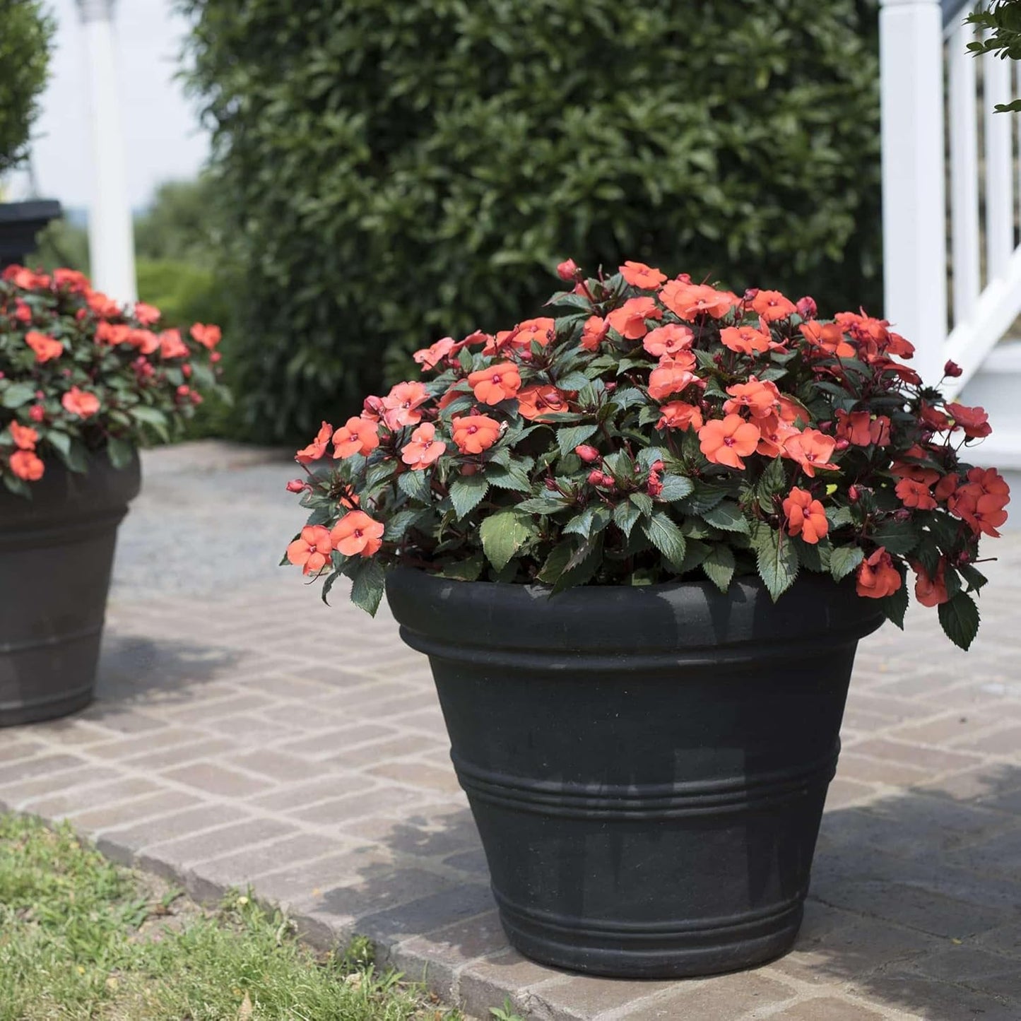 Crescent Garden Brunello Classic Rolled Rim Planter Pot, Indoor/Outdoor Weather-Safe Round Plant Pot, 14'' (Caviar Black)