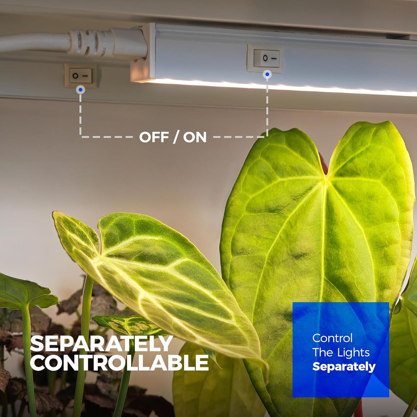 Barrina T5 Grow Lights for Indoor Plants, Full Spectrum, 4ft 160W (8 x 20W, 1000W Equivalent), Plant Growing Lamps, Plant Lights for Indoor Plants, Greenhouse, Plug and Play, Yellow 8-Pack