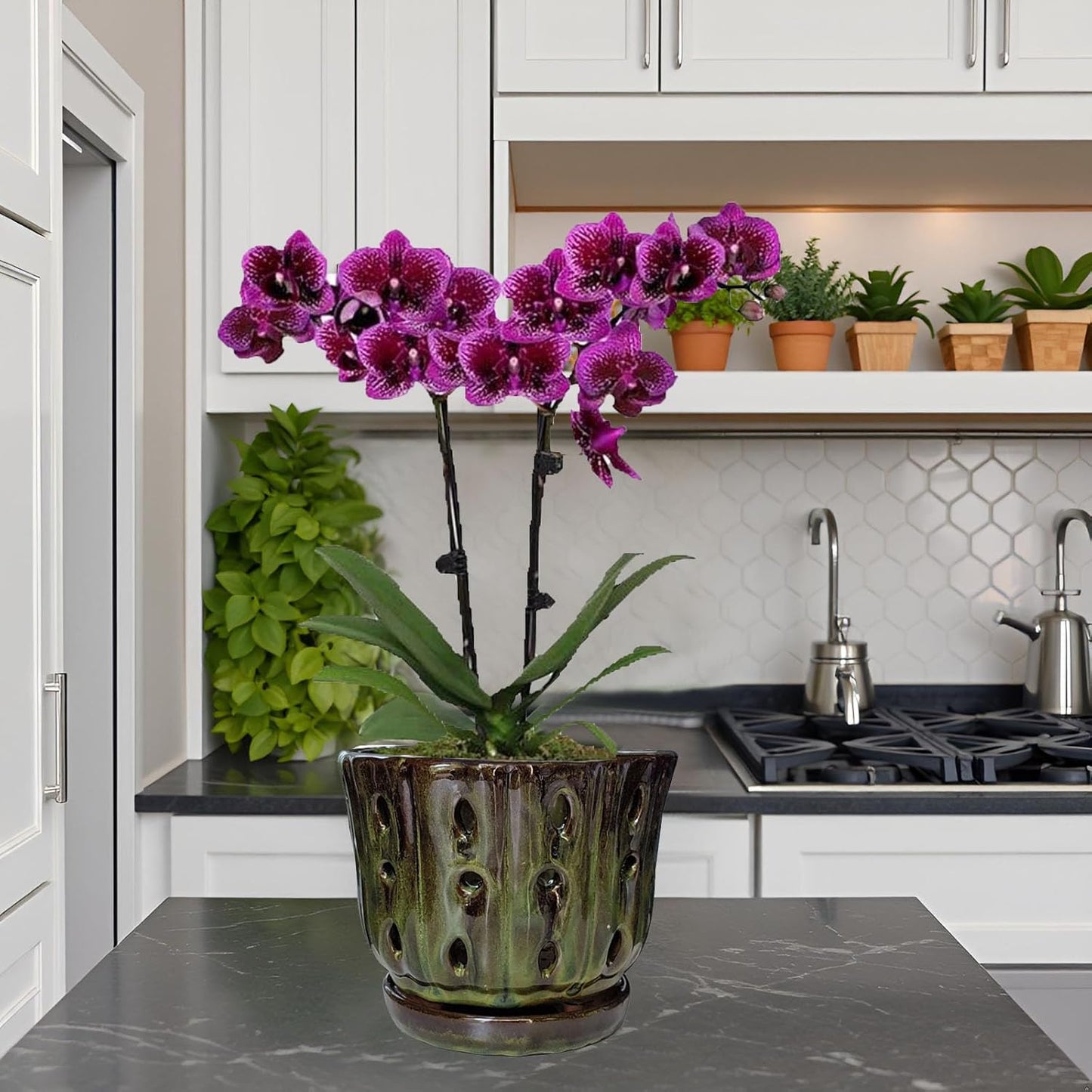 Ceramic Orchid Pots with Attached Saucer and Drainage Hole 6'' Orchid Planter (mossgreen)