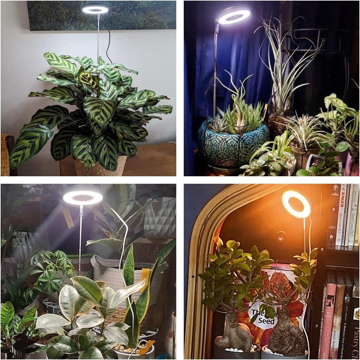 Plant Grow Light, 48 LEDs Full Spectrum Grow Lights for Indoor Plants, Height Adjustable Small Halo Grow Light with Base, 3 Optional Spectrums, Auto Timer 3/9/12Hrs, 10 Brightness, 3 Pack