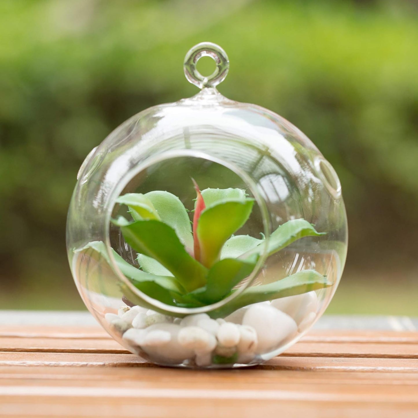 WGV Hanging Terrarium Globe, Width 5", Height 6", DIY Air Succulent Planter, Clear Glass Vase Orb with Flat Bottom, Candle Holder for Windowsill Outdoor Garden Decor, 1 Piece