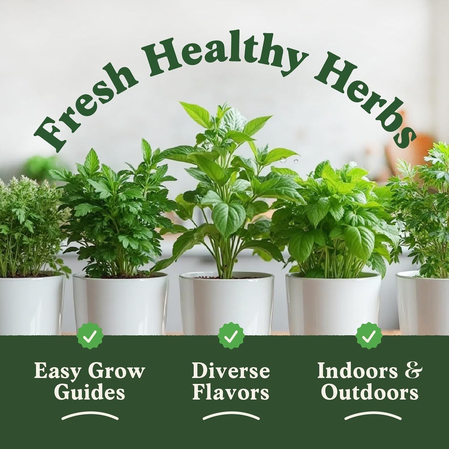 Seedboy Organic 5 Herb Variety Pack: Basil, Mint, Rosemary, Parsley, Cilantro for Planting Indoor and Outdoor, Non-GMO and USDA Certified Seed Packets (5 Herb Variety Pack)