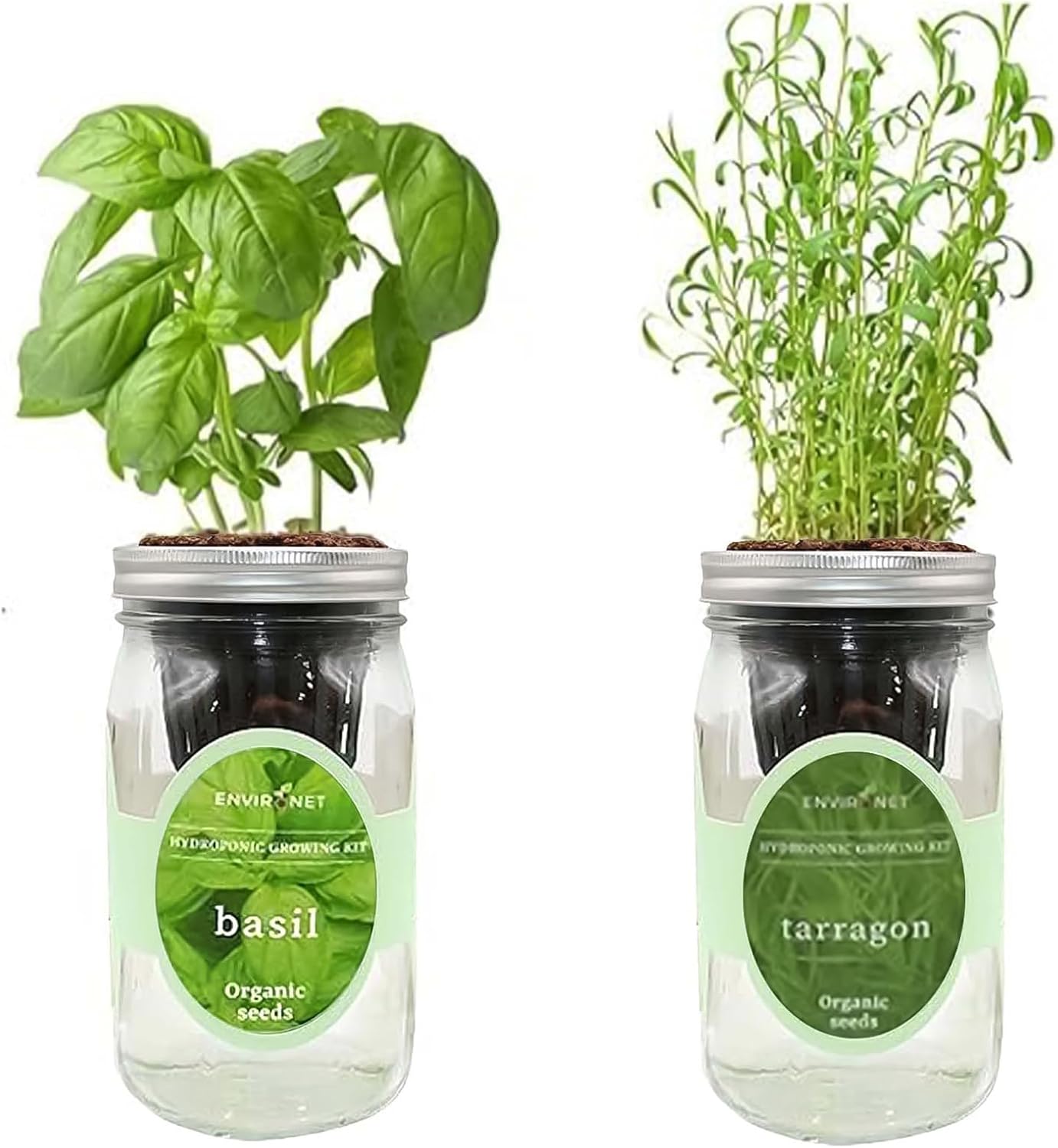 2-Pack Hydroponic Mason Jar Herb Garden Kit, Indoor Herb Garden Self-Watering Starter Kit (Basil,Tarragon)