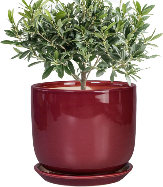 Ceramic Flower Pot for Plants - Cylinder Modern 8 Inch Plant Pot Indoor with Drainage Hole and Saucer, Home Office Room Porch Decor, Red