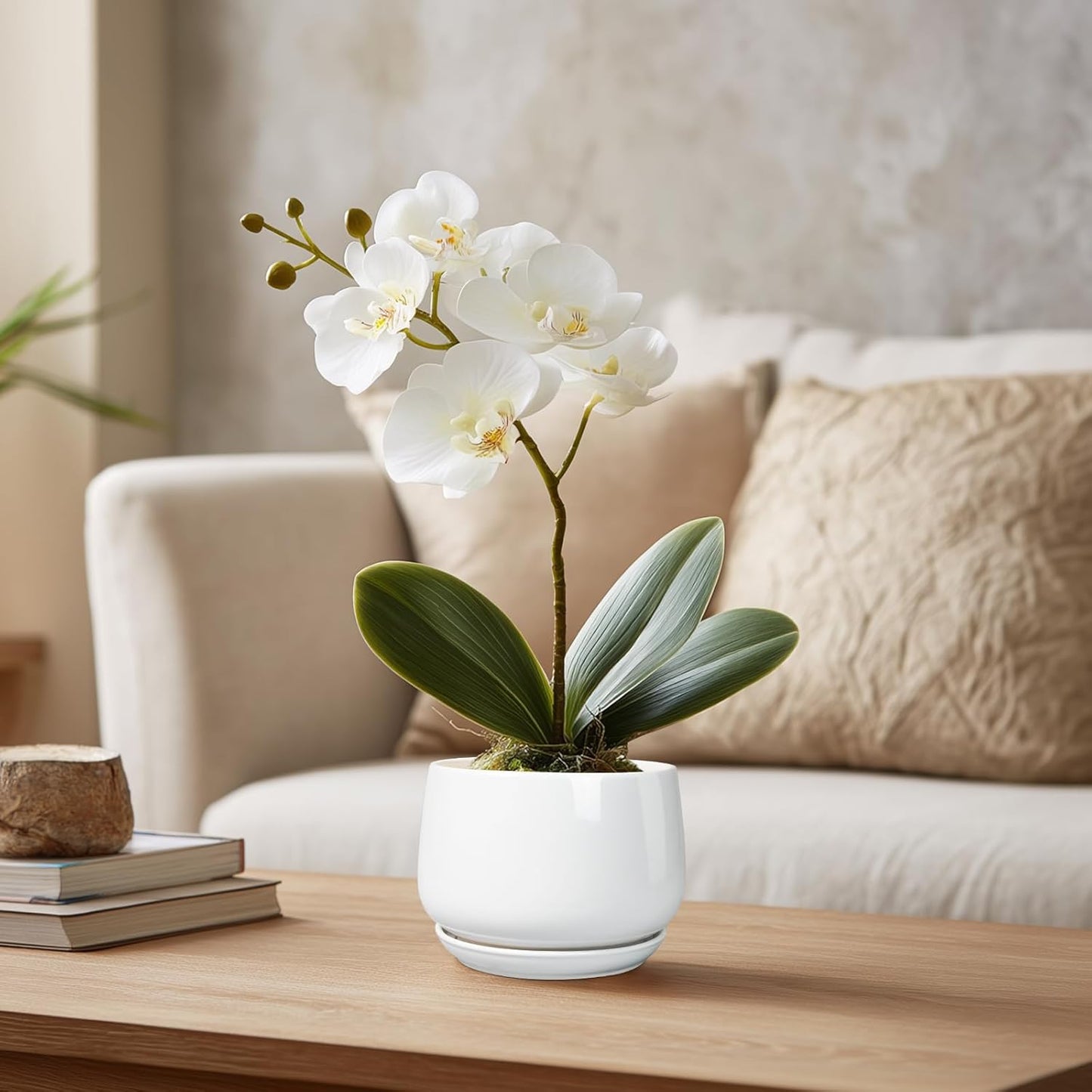 G EPGardening Ceramic Plants Pots - 4 inch Succulent Pots for Indoor Outdoor, Small Planter with Drainage Hole & Saucer, Round Planter, Modern Flower Pot, Office Decor, Plant Lovers Gifts, White