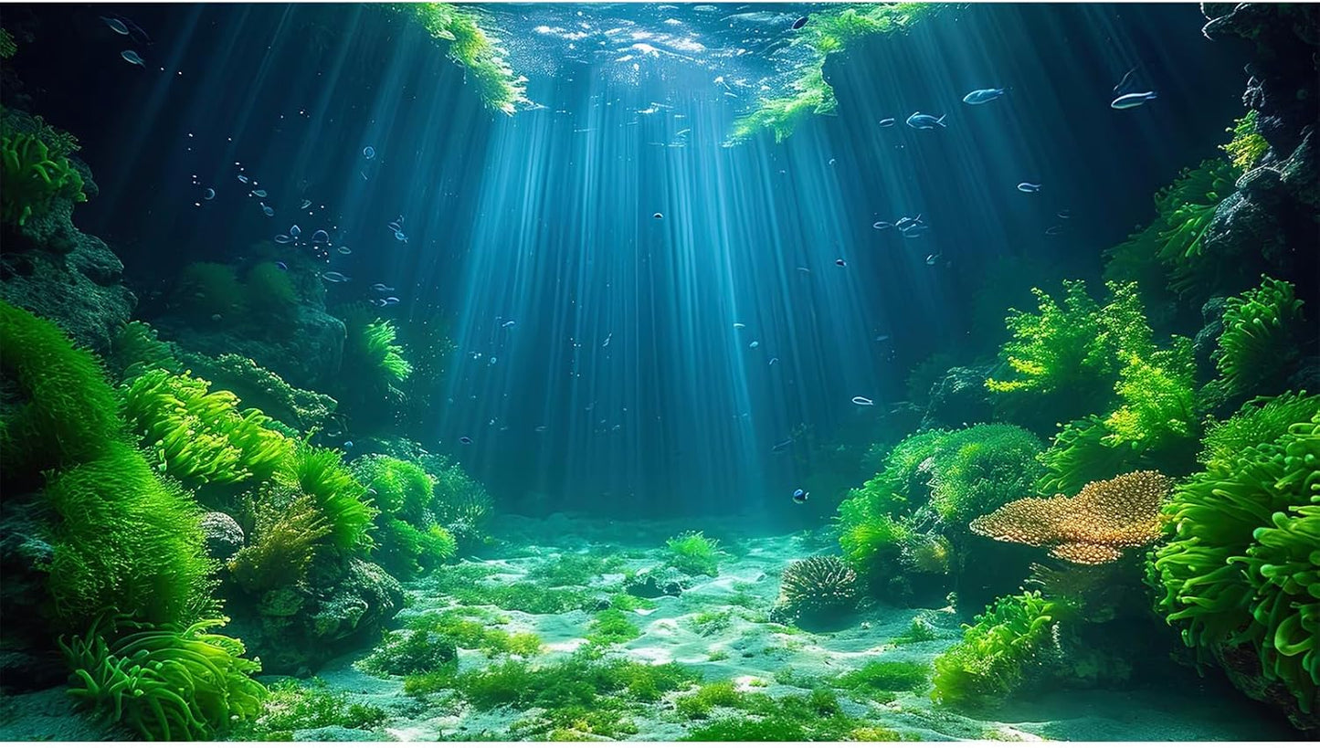 Aquarium Background Aquatic Plants Soft Algae Terrarium Backdrop Underwater World Fish Rock with Moss Sunlight Rays Fish Tank Background Aquarium Wallpaper Poster Decor Vinyl 60x24in