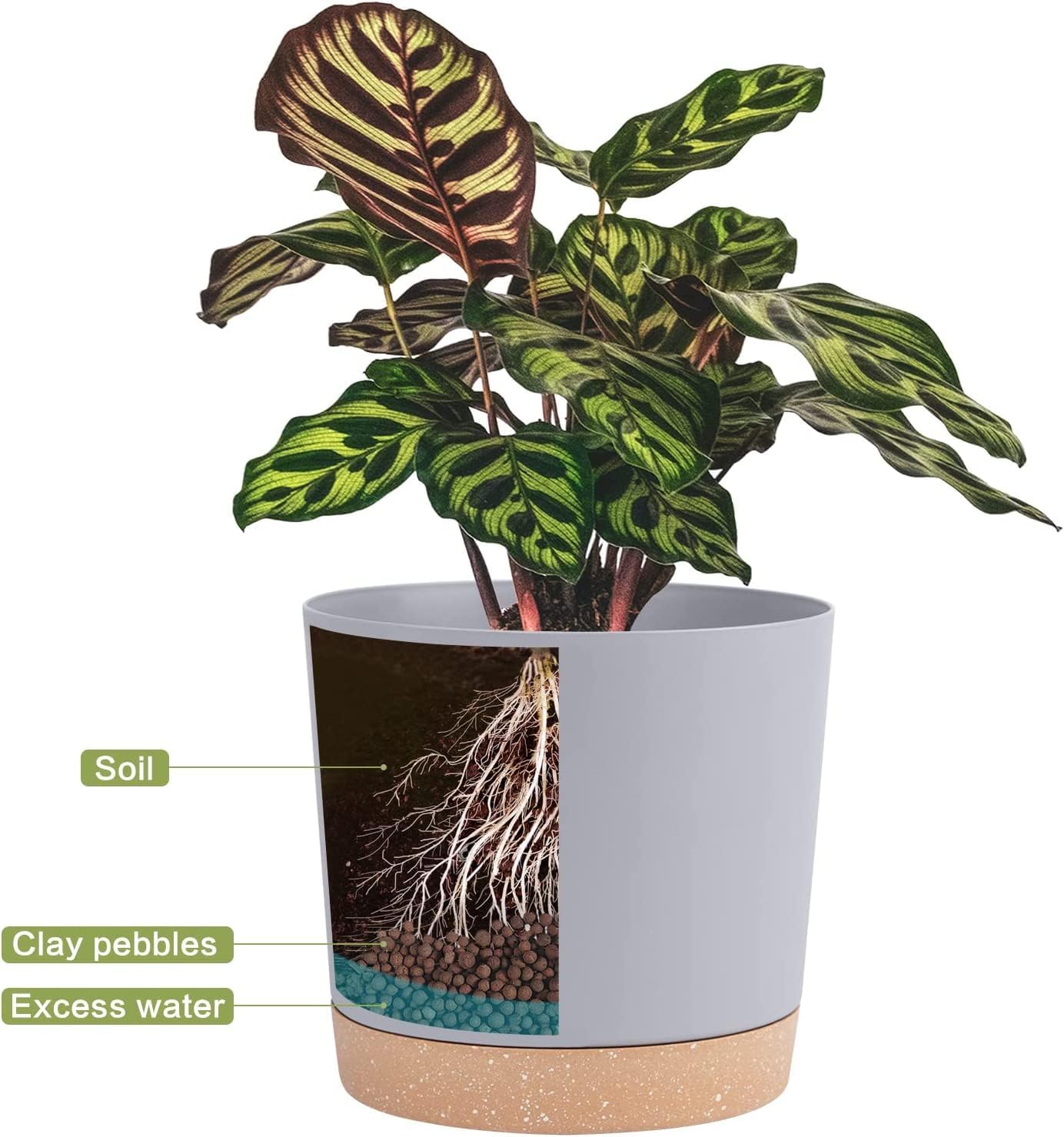 QCQHDU 8 inch Plant Pot, 2 Pack Planters for Indoor Plants with Drainage Holes & Saucer, Outdoor Flower Pots Home Garden Modern Decor