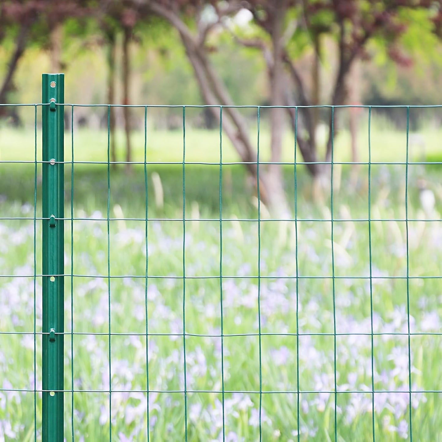 Green PVC Coated Welded Wire Fence 24 Inch x 50 Foot, 2 Inch x 3 Inch 16GA, Garden Border Fencing Roll Vinyl Coating Metal Wire Mesh for Yard Vegetable Plant Protection Poultry Netting