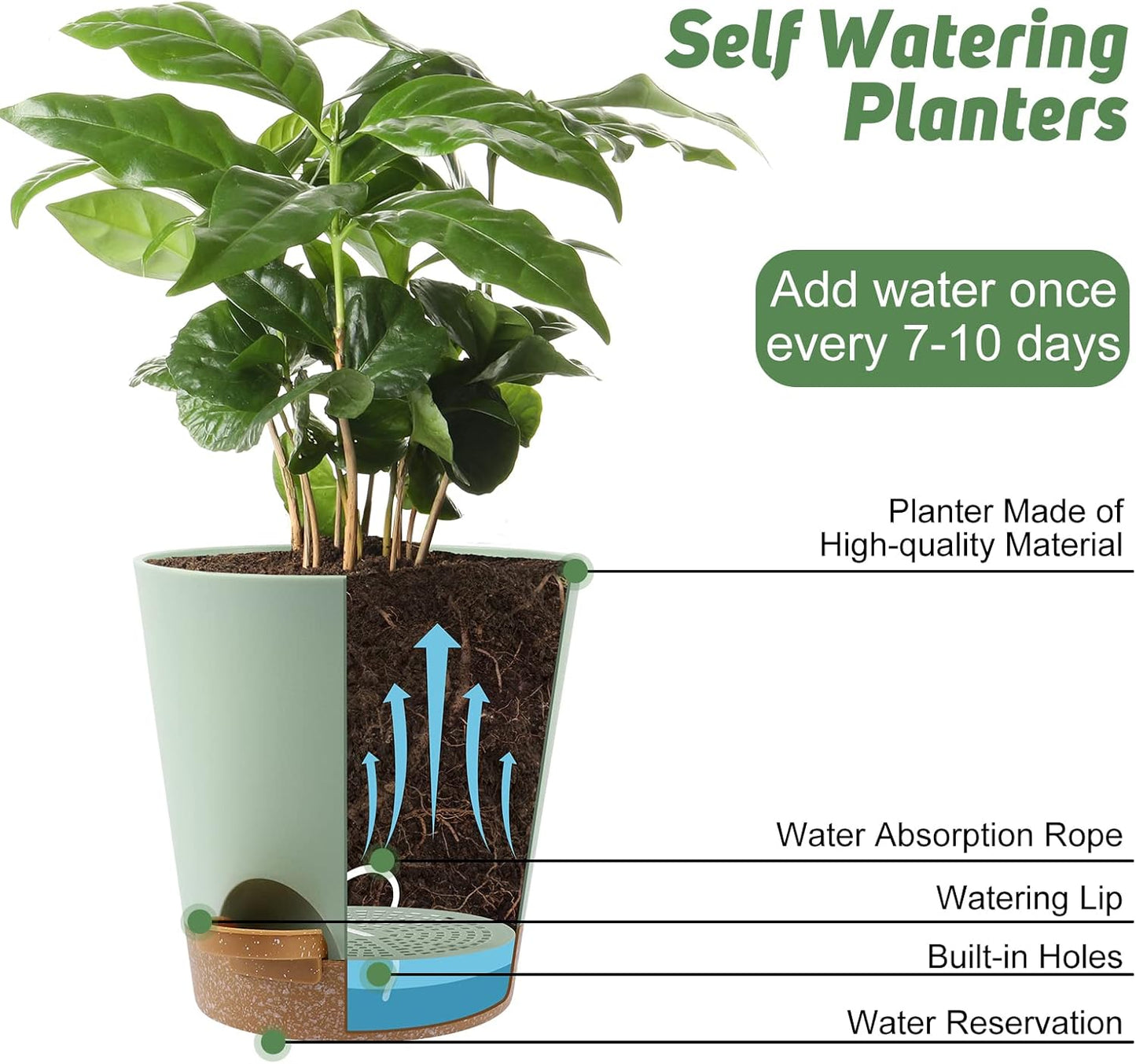 Indoor Self Watering Planters with Drainage Holes and Saucers, 8, 7, 6.5, 6, 5.5, 5 Inches, Green, 6 Pots