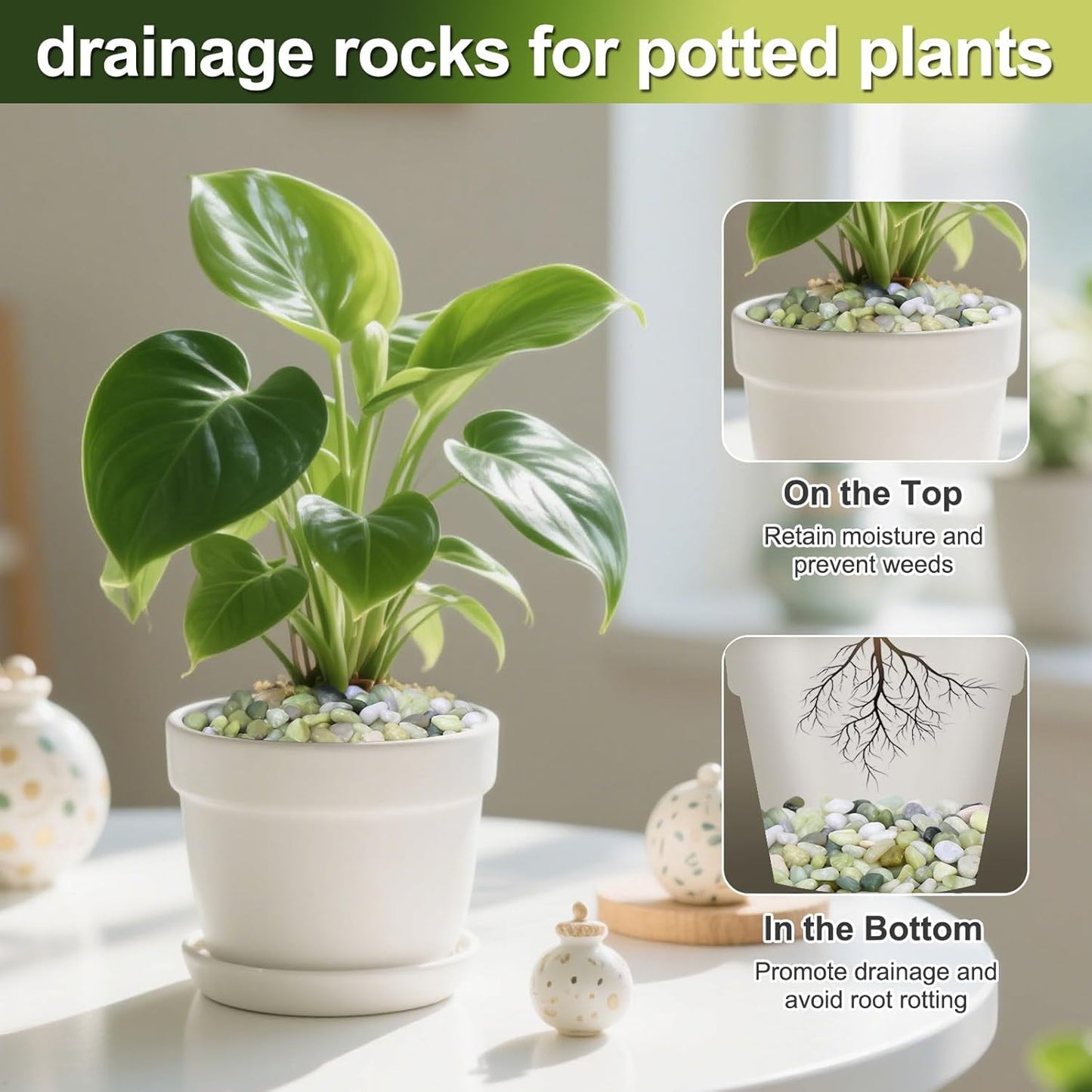 Calofulston 15 lb Small Pebbles for Indoor Plants, 3/8 Inch Decorative Rocks for Lucky Bamboo Plants Pot, Succulent, Vase, Cactus, Landscaping, Polished Jade Rocks for Plants Indoor, Green