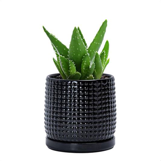D'vine Dev 4 Inch Ceramic Beaded Stoneware Planter Pot - Flower Pot with Drainage Holes and Saucers for Indoor Succulent Plants or Flowers, Glossy Black, 27-C-Z-2