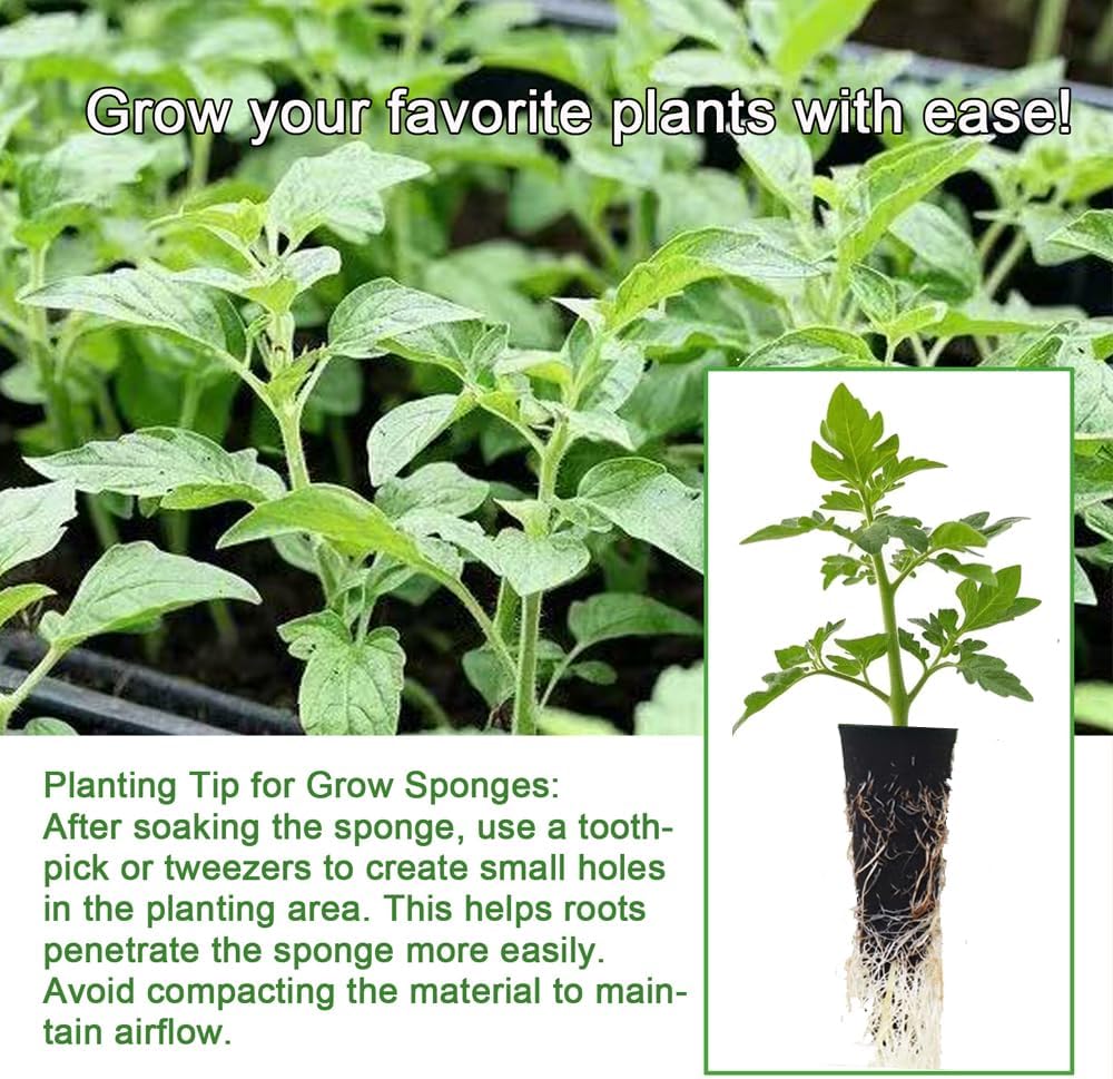 50 Piece Hydroponic Pods Kit: Grow Anything with 50 Grow Sponges, Easy to Use for Indoor for Hydroponic Indoor Garden System, 50 Grow Sponges, 1pc Tweezer