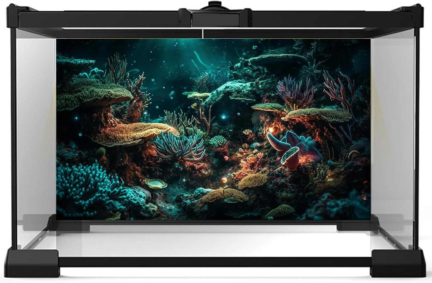 Aquarium Background Colorful Picturesque Coral Reef Terrarium Background Tropical Sea Various Hard Corals Underwater Landscape Fish Tank Backdrop Aquarium Poster Background Vinyl 60x24in