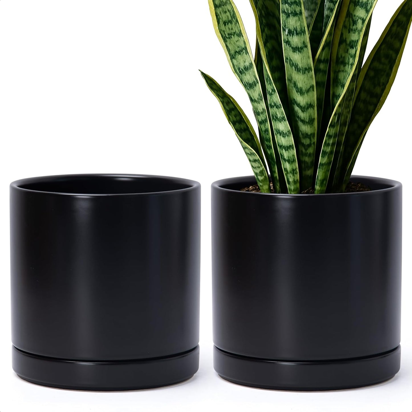 D'vine Dev Set of 2 Plants Pots, 8 Inch Ceramic Planter Pot for Plants with Drainage Hole and Saucer, Black, 94-V-D-2